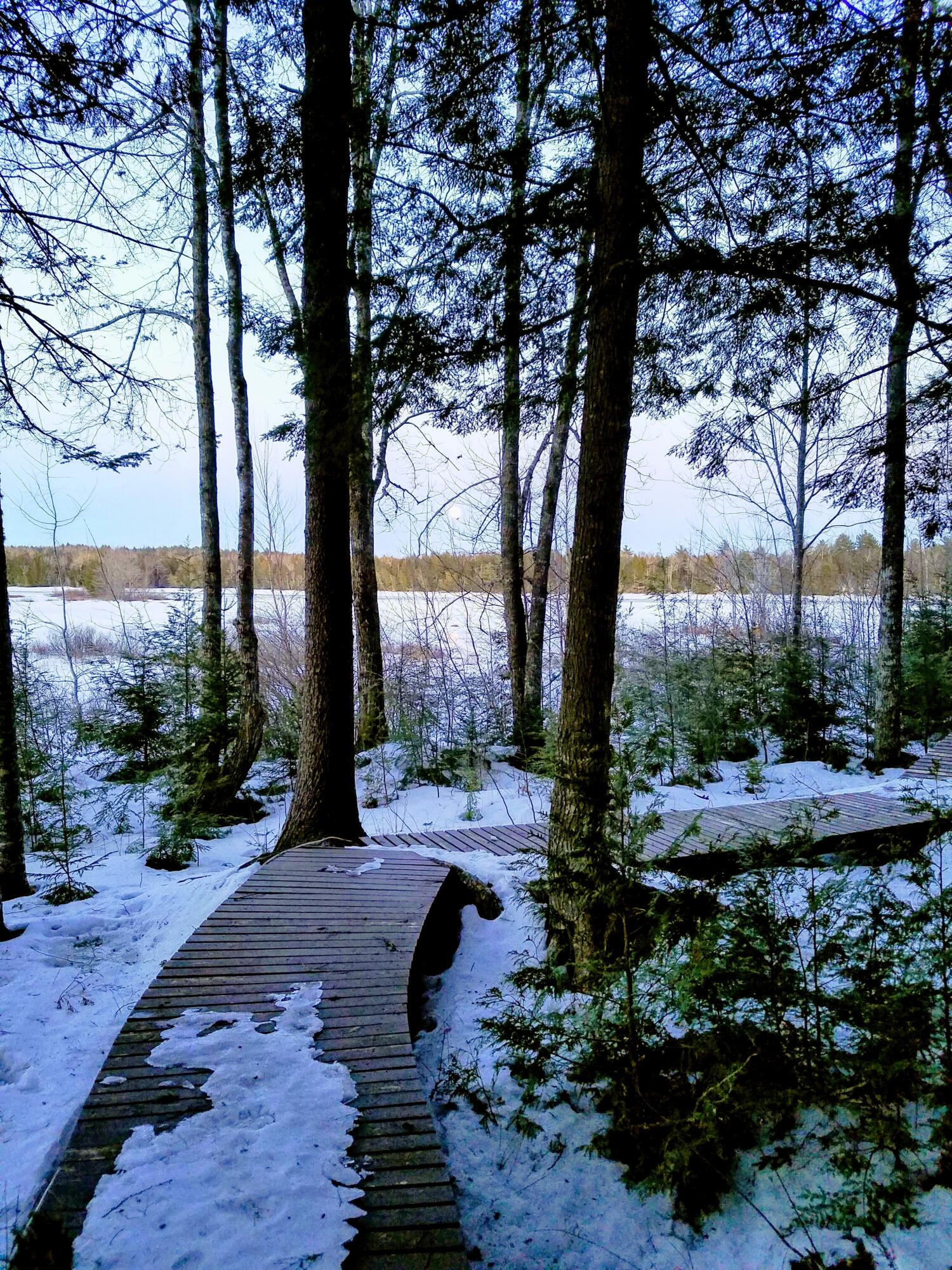 95 Silsby Road, Mariaville, ME, 04605