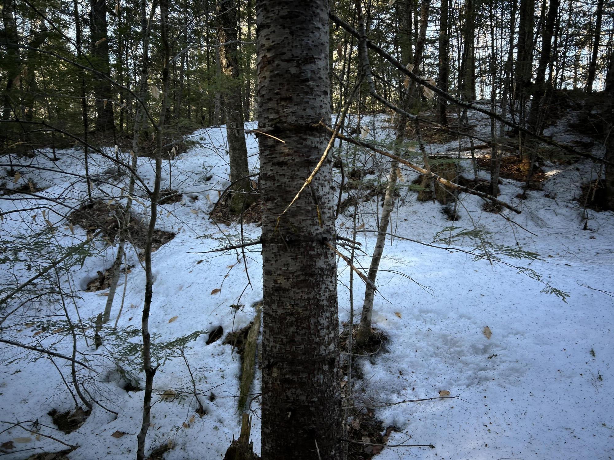 Map13Lot11 Field View Road, Fryeburg, ME, 04037