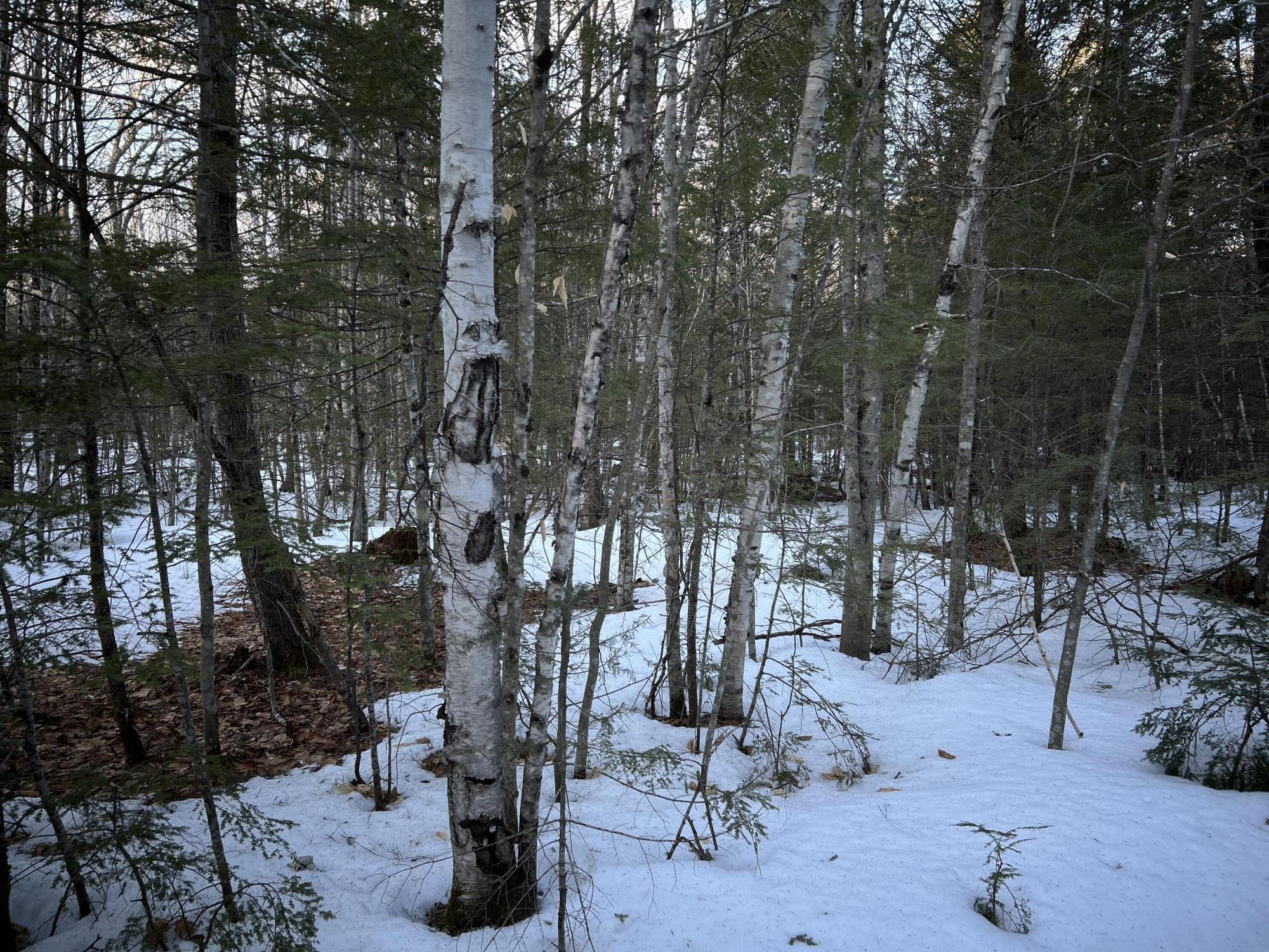 Map13Lot11 Field View Road, Fryeburg, ME, 04037