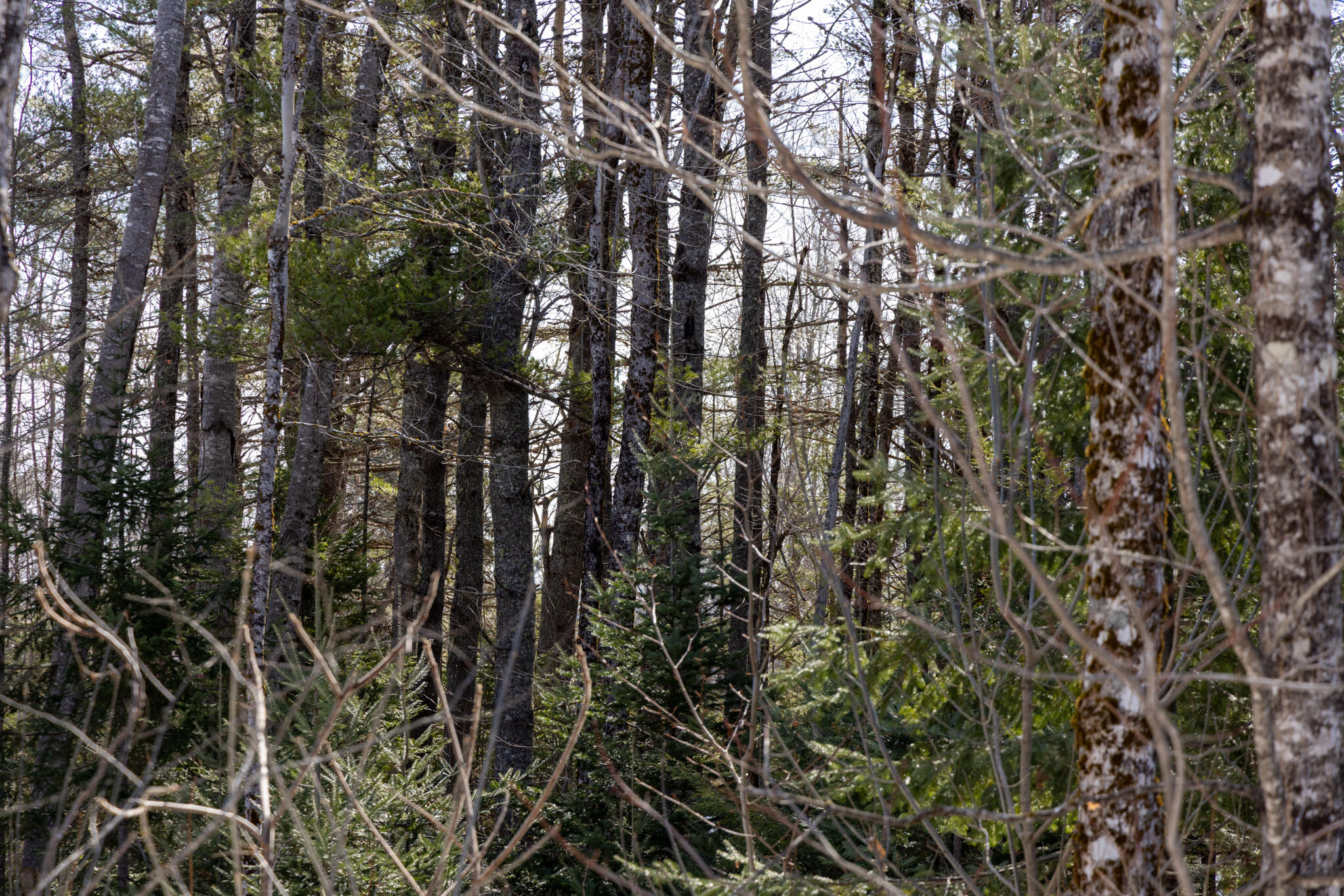 M4L38&39 West Old Main Road, Lowell, ME, 04493