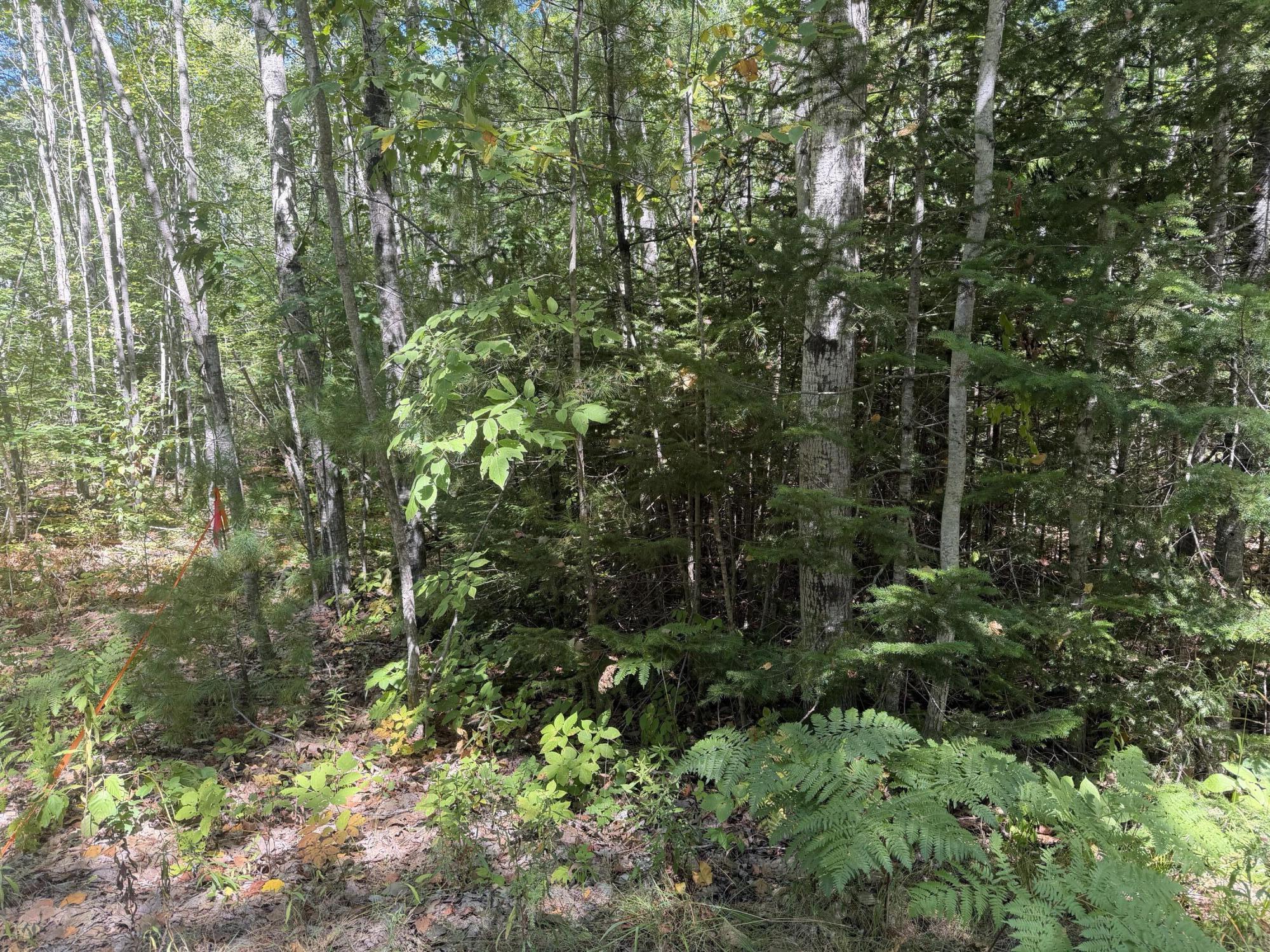 Photo of Lot 00500E West Hamlet Road Newcastle ME 04553