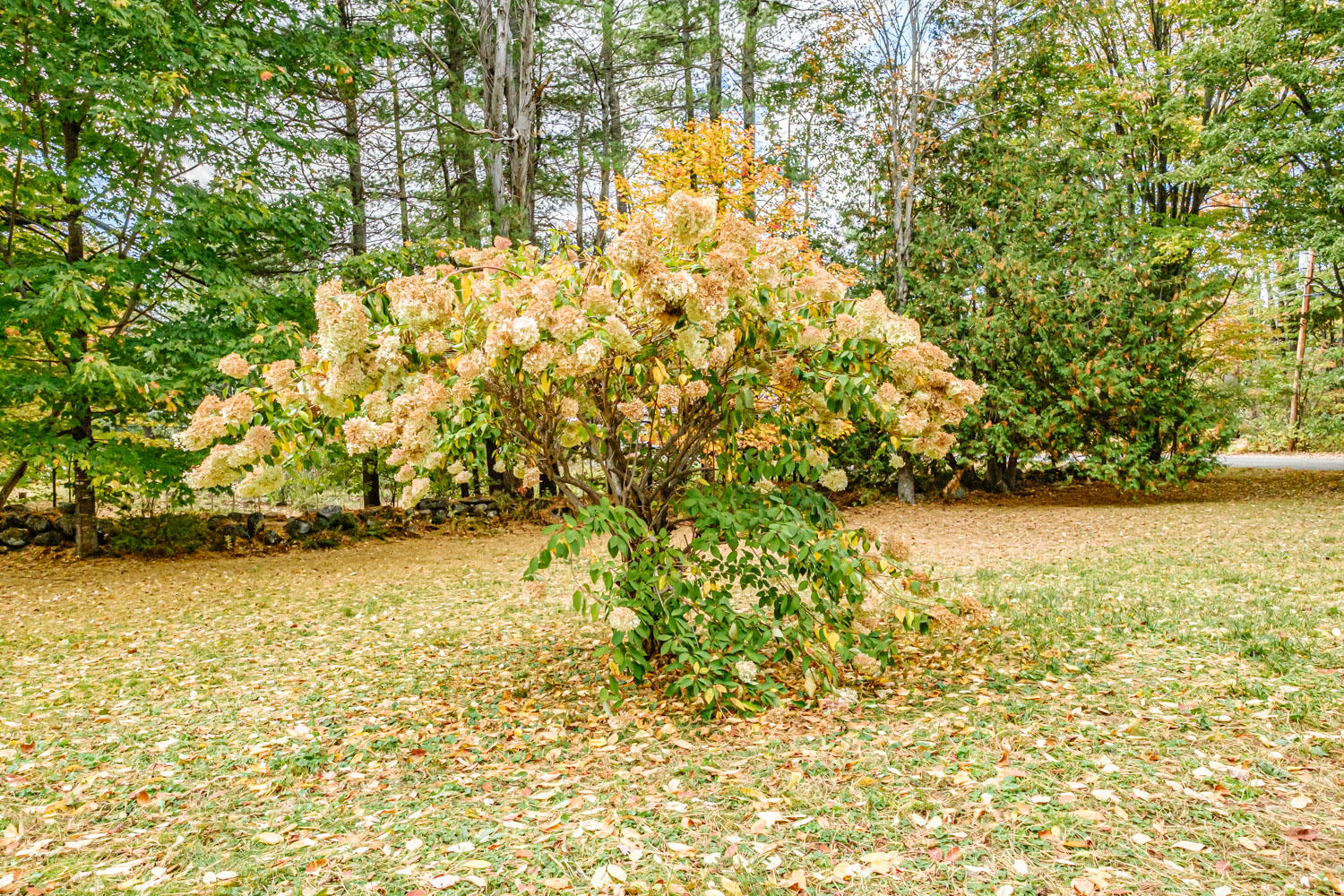 25 Evergreen Road, Bethel, ME, 04217-3634