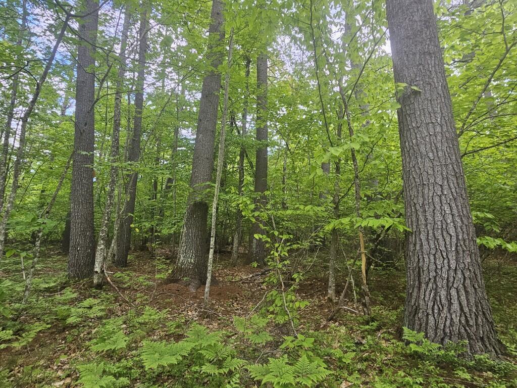 M10L44 Mountain View Road, Fryeburg, ME, 04037