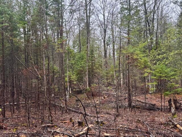SO 001 Plan 2 Lot 16.1 Long Falls Dam Road, Lexington Twp, ME, 04961