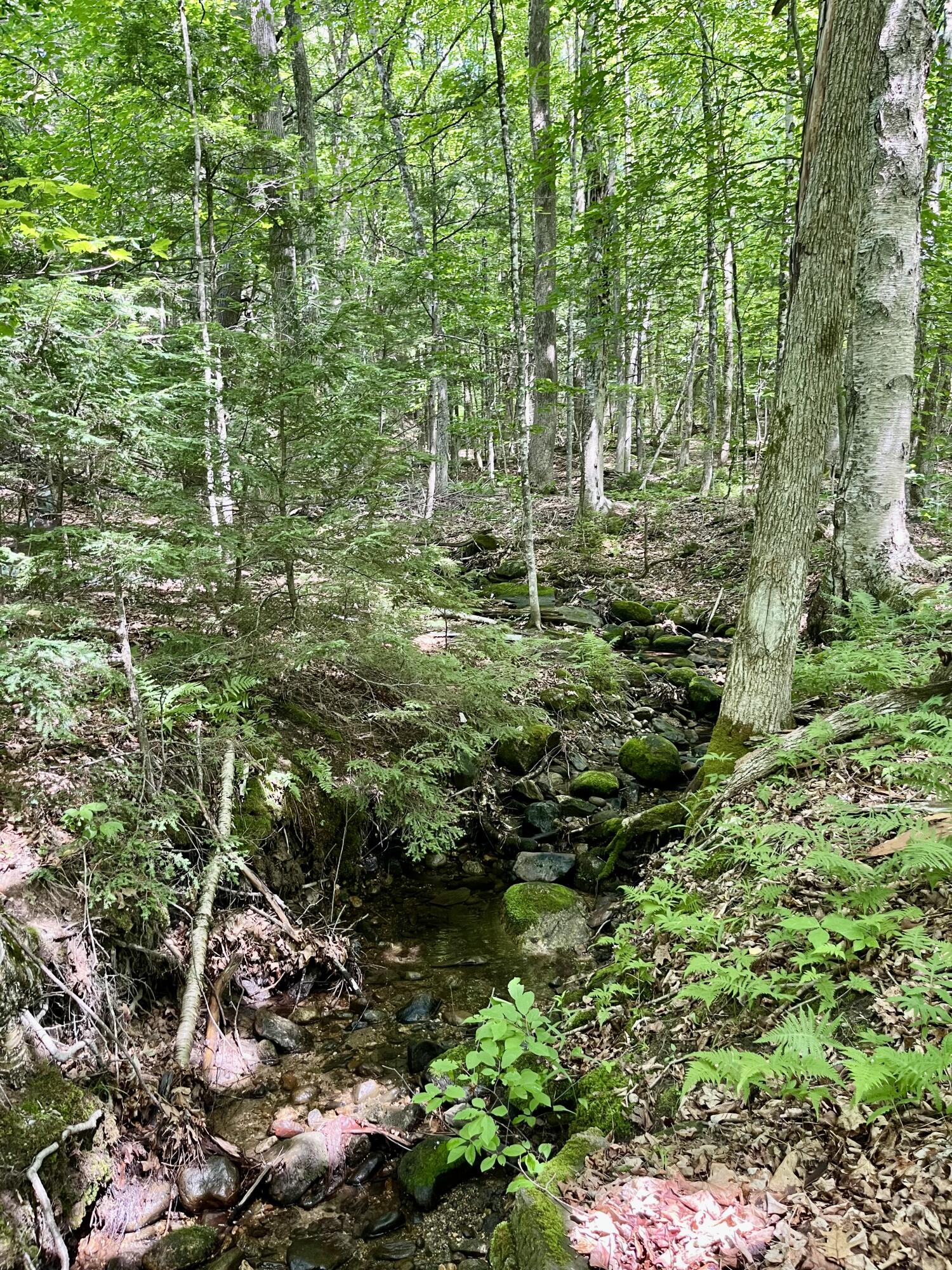 run off next to camp