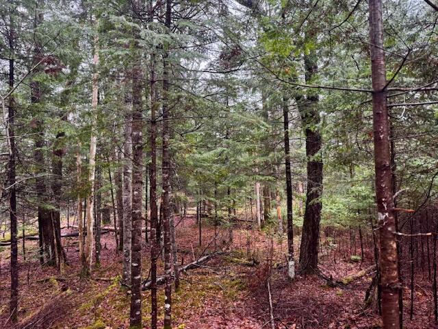 SO 001 Plan 2 Lot 16.1 Long Falls Dam Road, Lexington Twp, ME, 04961