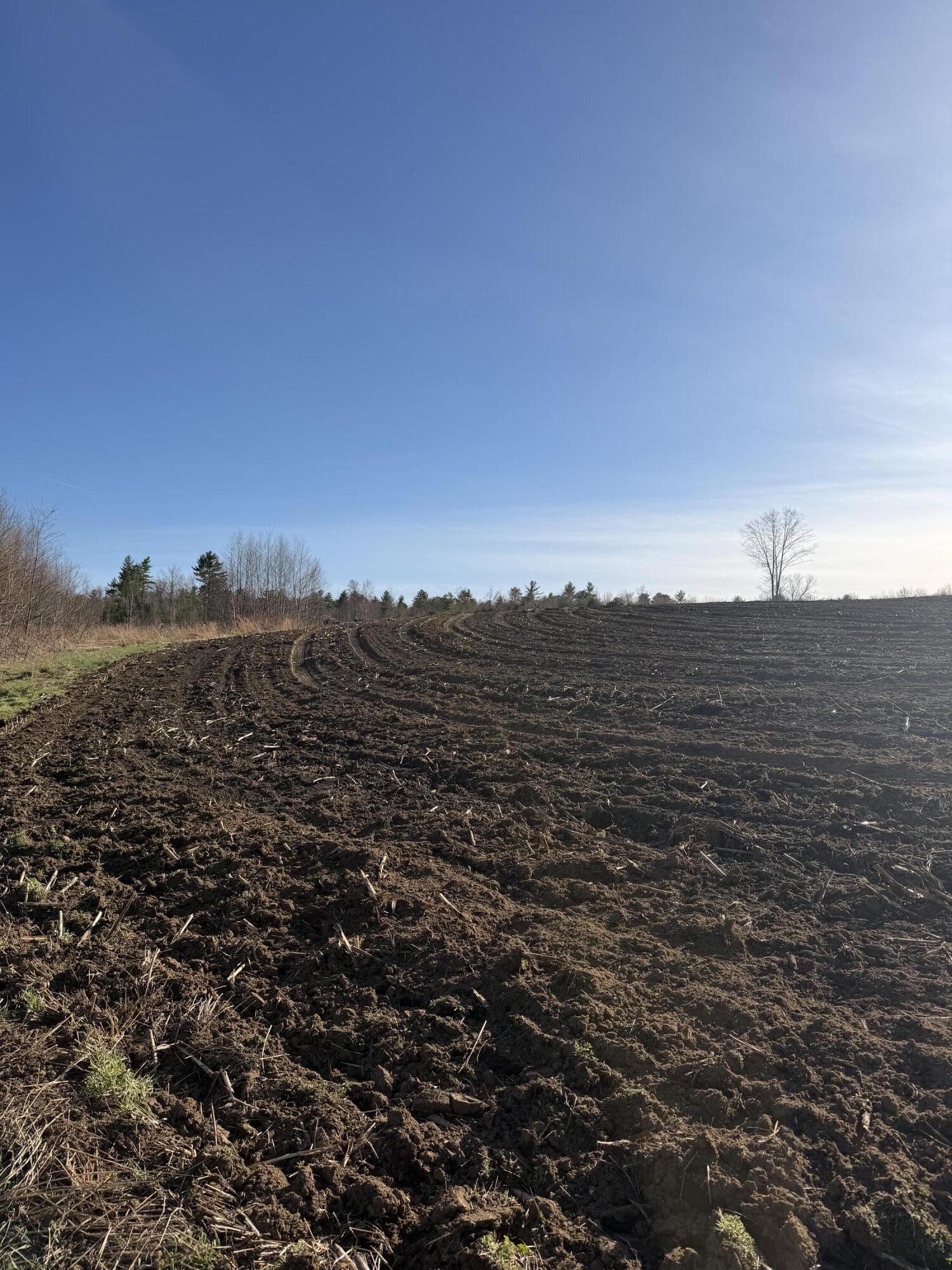 Lot 2 Torrey Road, Poland, ME, 04274