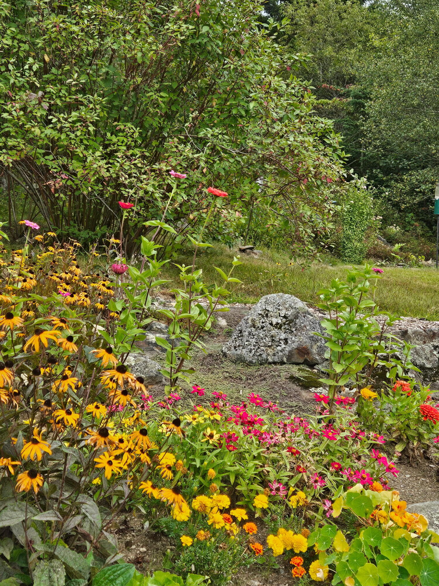 63 Raccoon, Cushing, ME, 04563