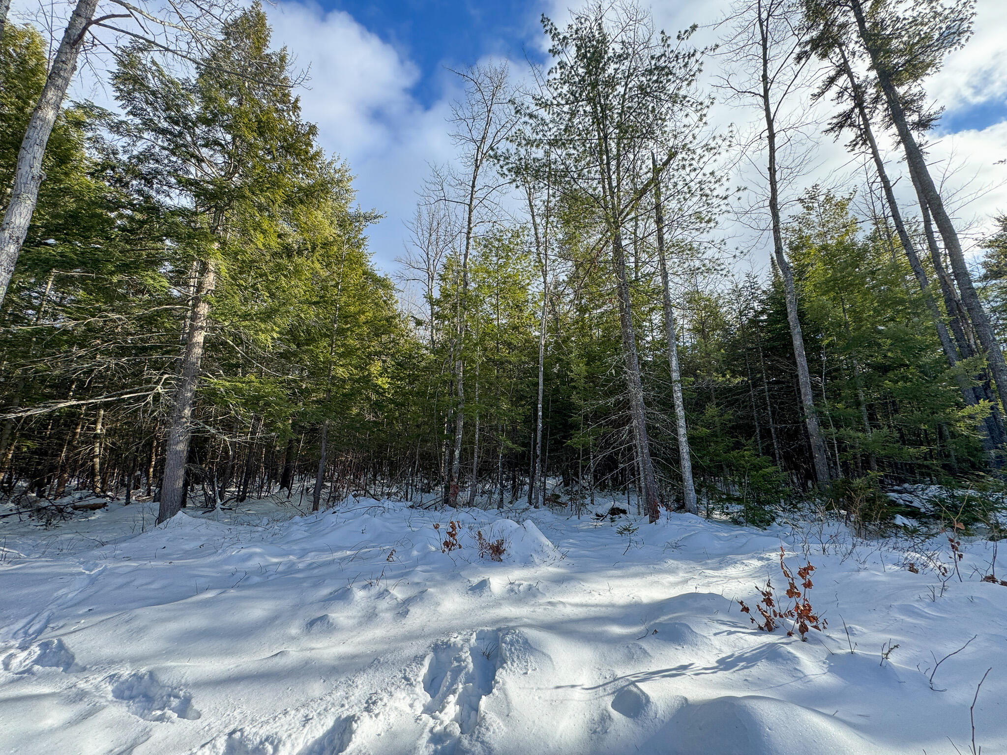100 Sam Brown Hill Road, Brownfield, ME, 04010