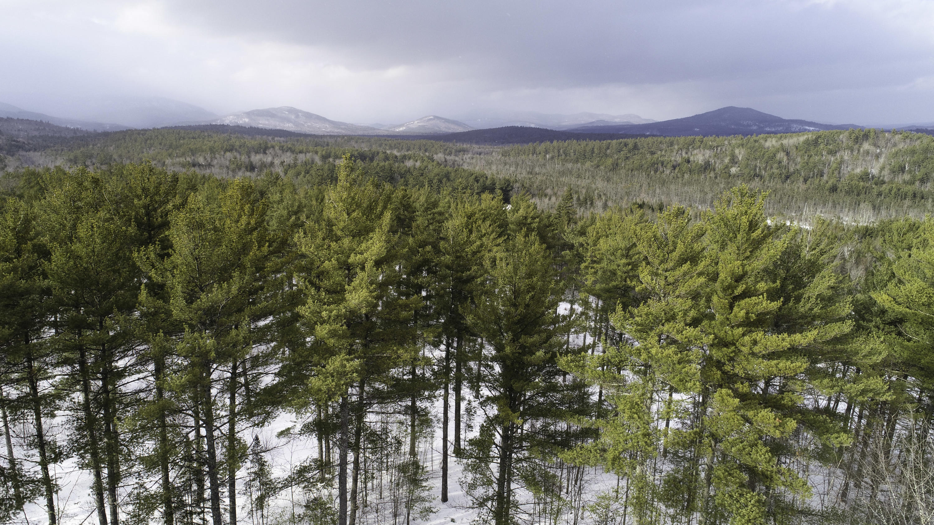 Lot 1 Lyman Wheeler Road, Bethel, ME, 04217