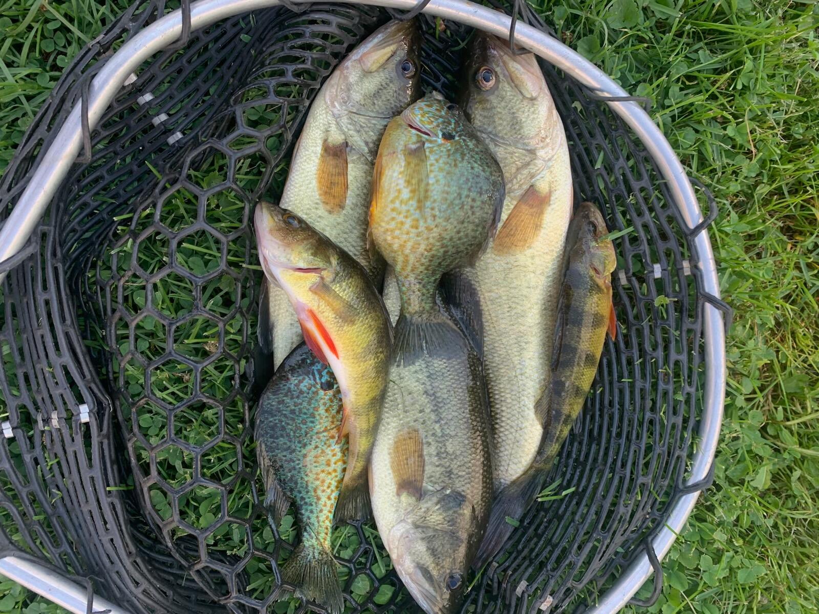 42 Fowler Road, Orrington, ME, 04474