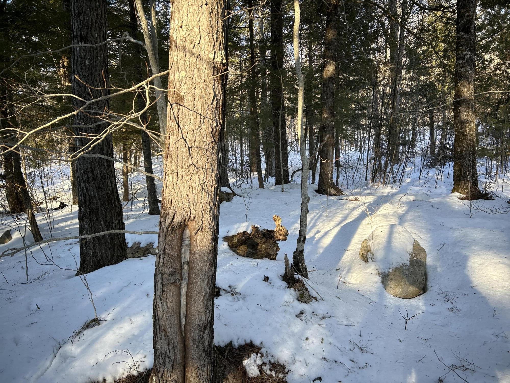 M7L22 Nelson Ridge Road N, Washington, ME, 04574