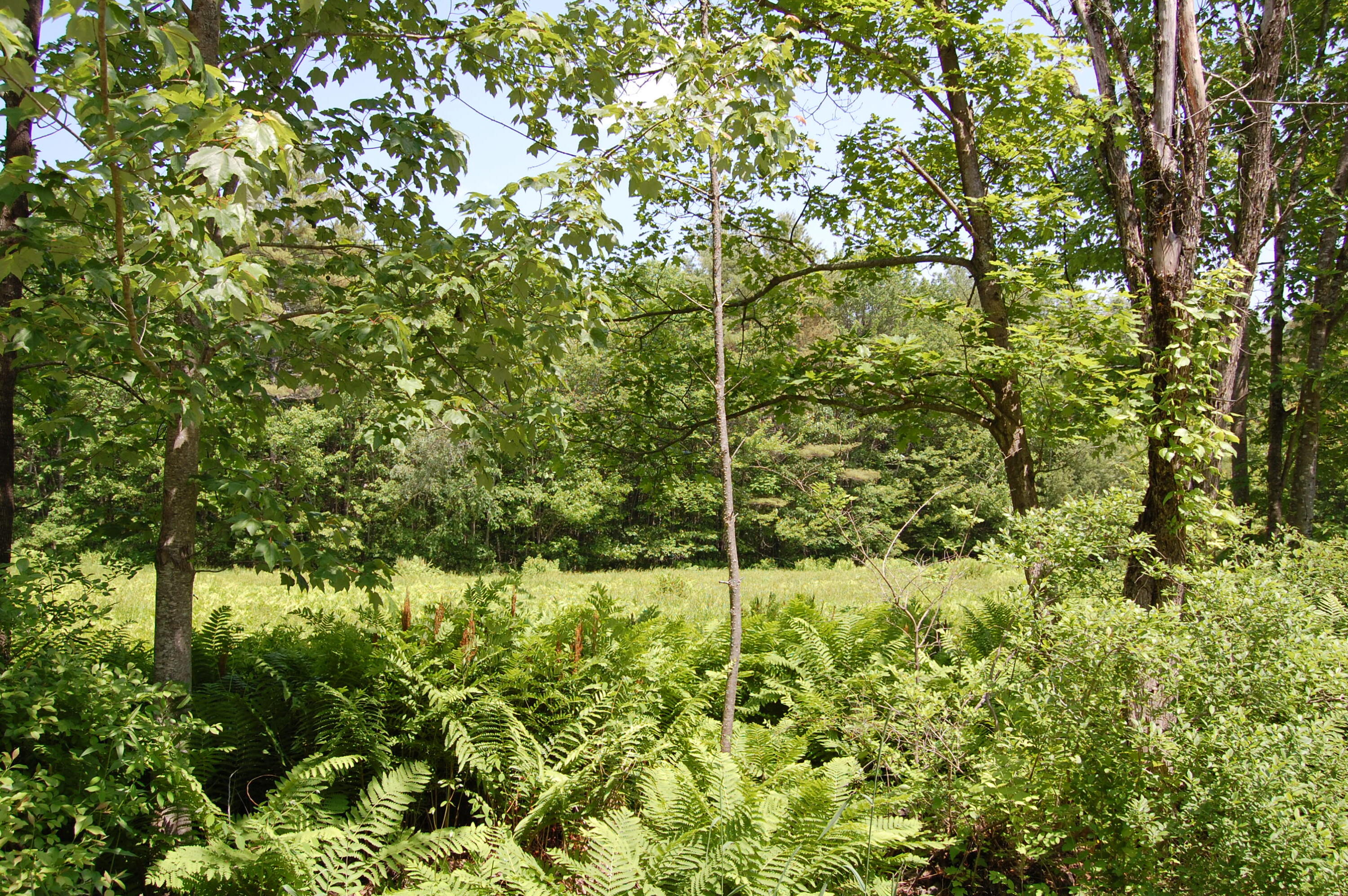 0 New Gloucester Road, North Yarmouth, ME, 04097