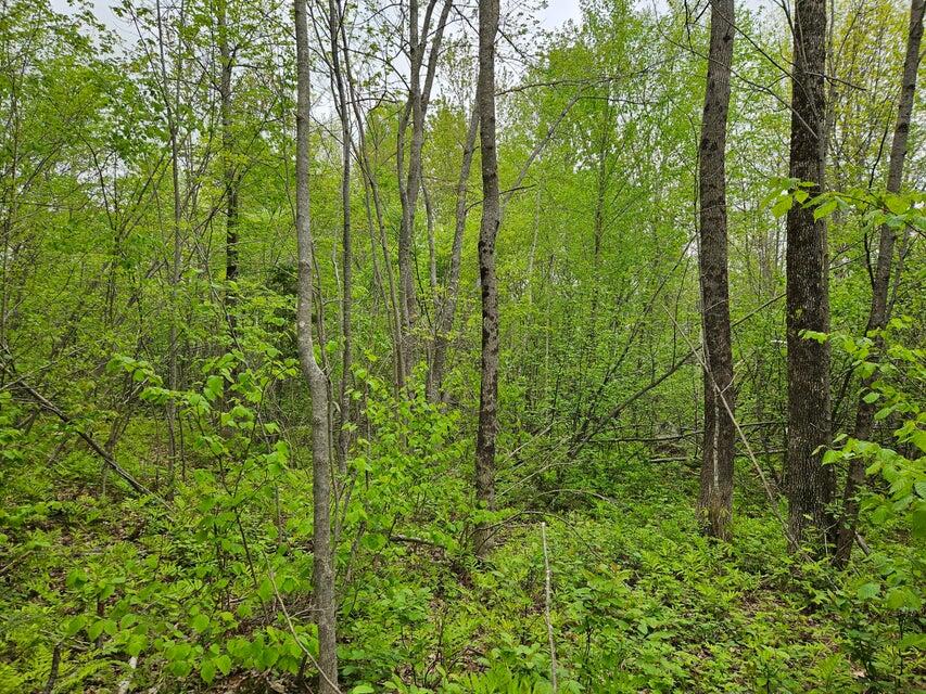 681 Mile Hill Road, New Sharon, ME, 04955