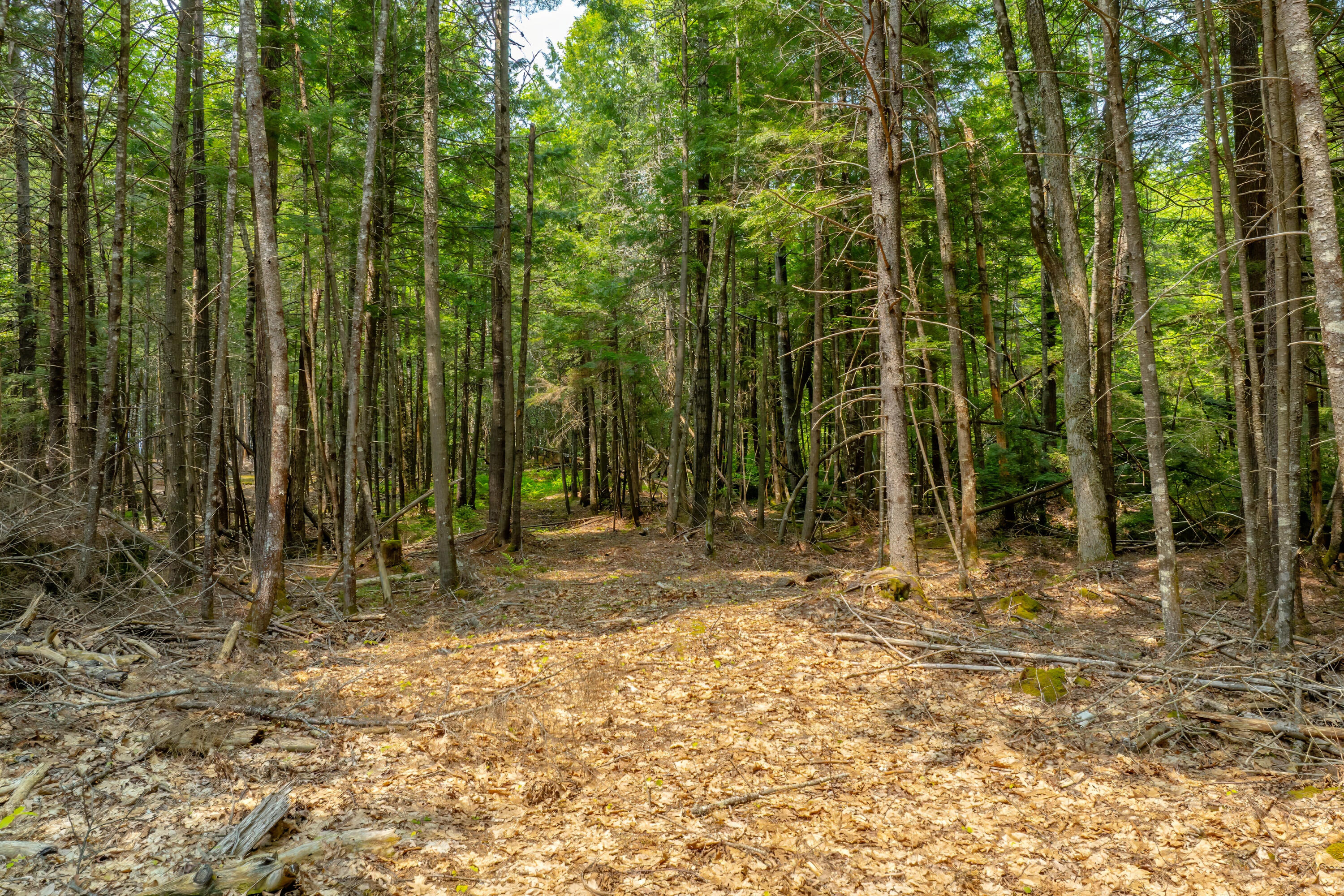 80 Bufford Drive, Waltham, ME, 04605