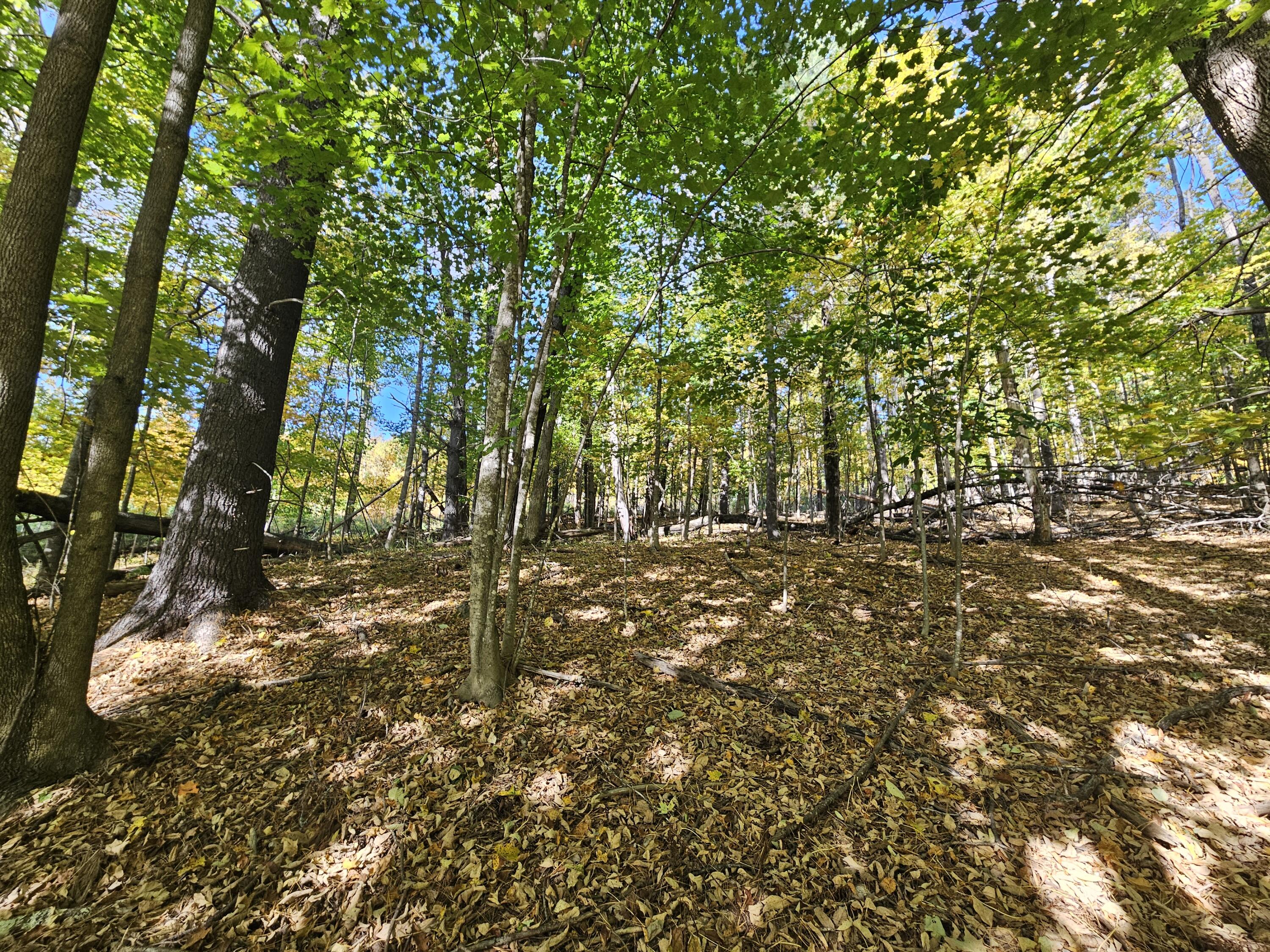 R-5 13-A Norton Hill Road, Strong, ME, 04983