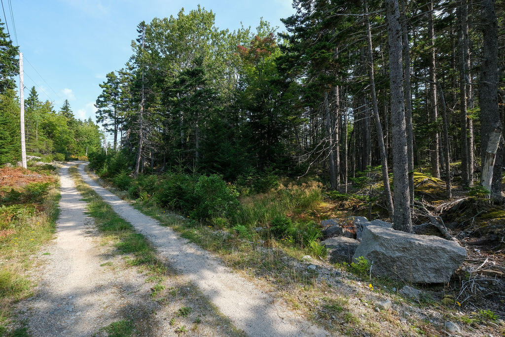 12-1 S Burnt Cove Road, Stonington, ME, 04681
