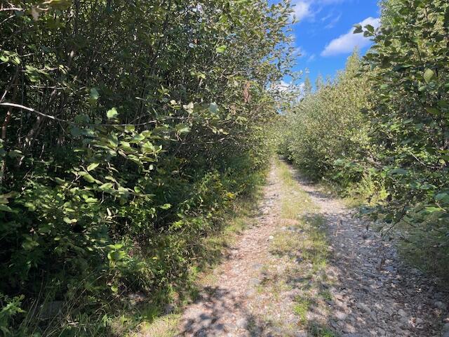 69K Christmas Cove Road, Crawford, ME, 04694