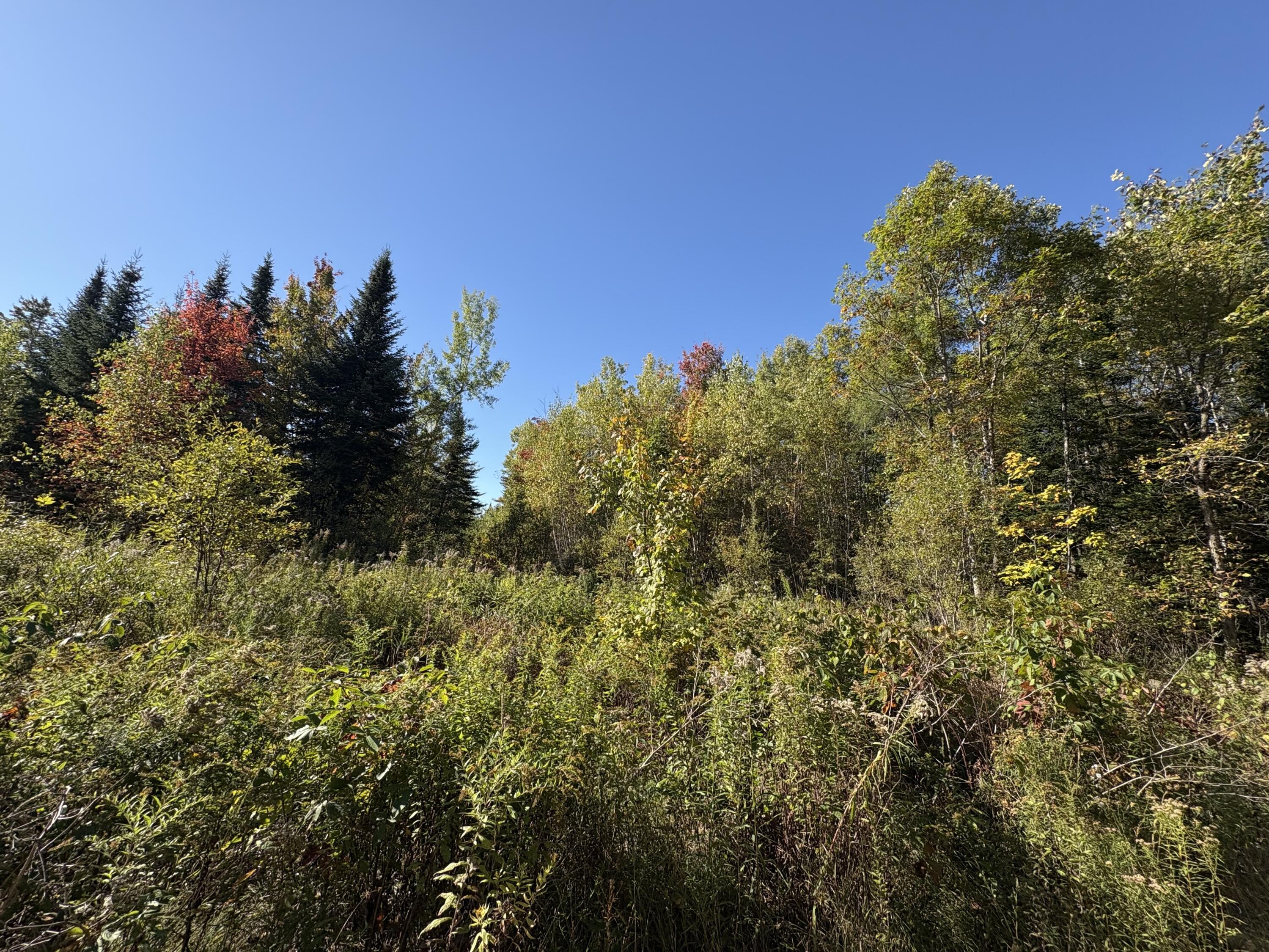 Map1Lot1 Rutland Road, Plymouth, ME, 04969
