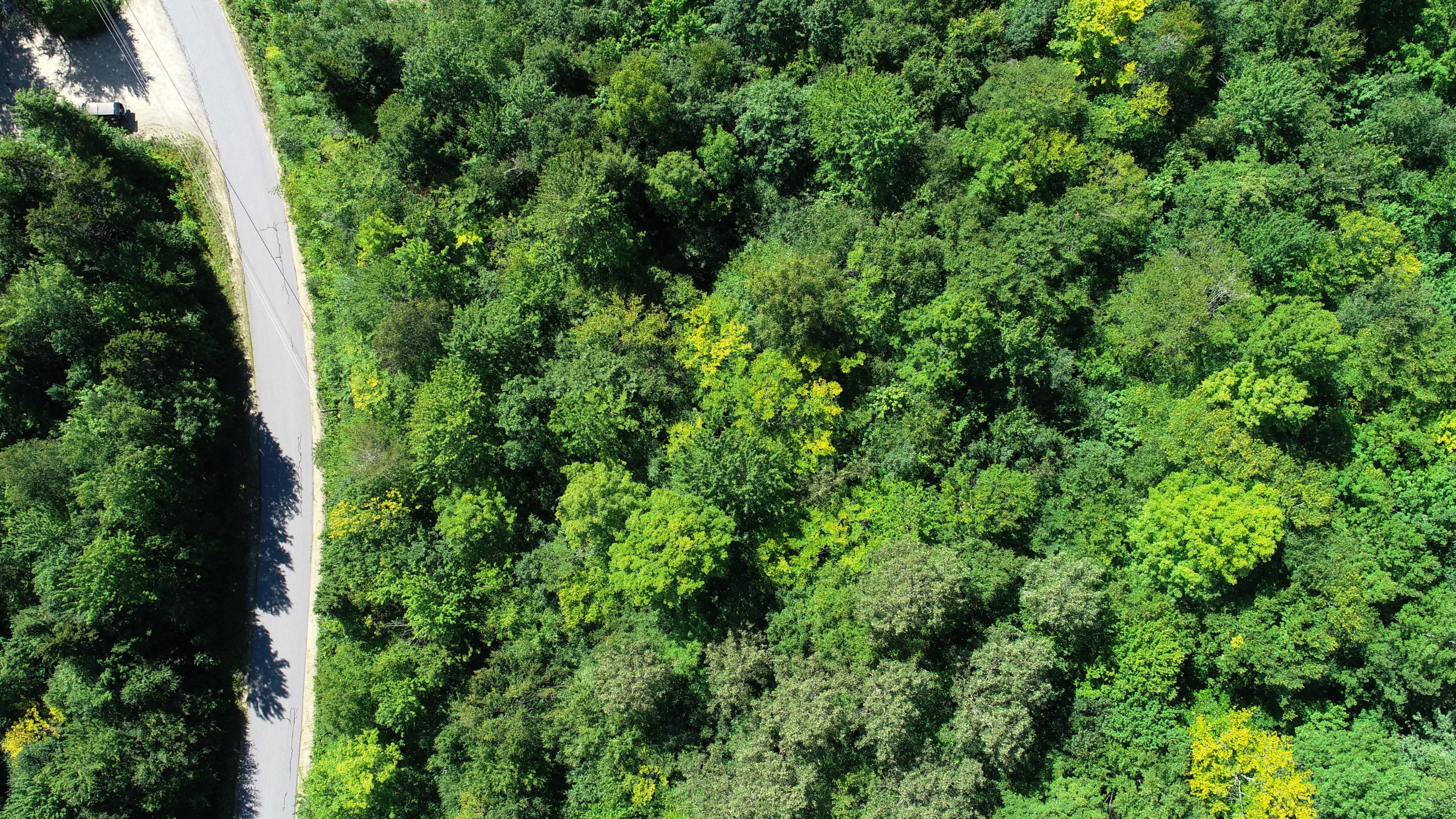 Lot 16 Keystone Drive, Newry, ME, 04261
