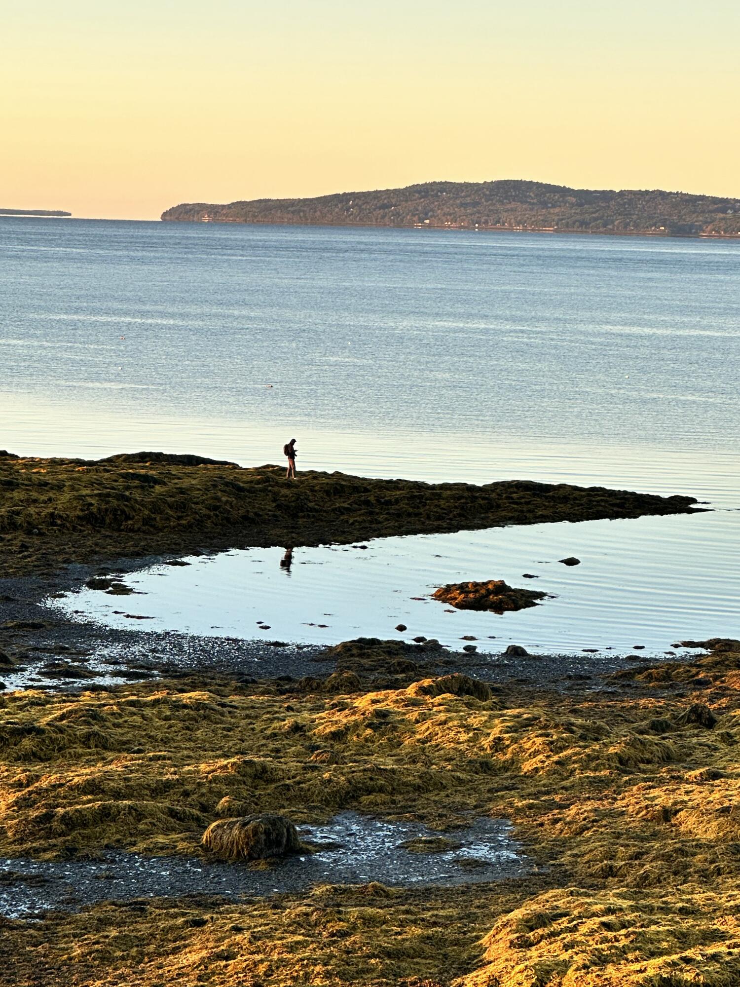 8 Summer Street, Searsport, ME, 04974