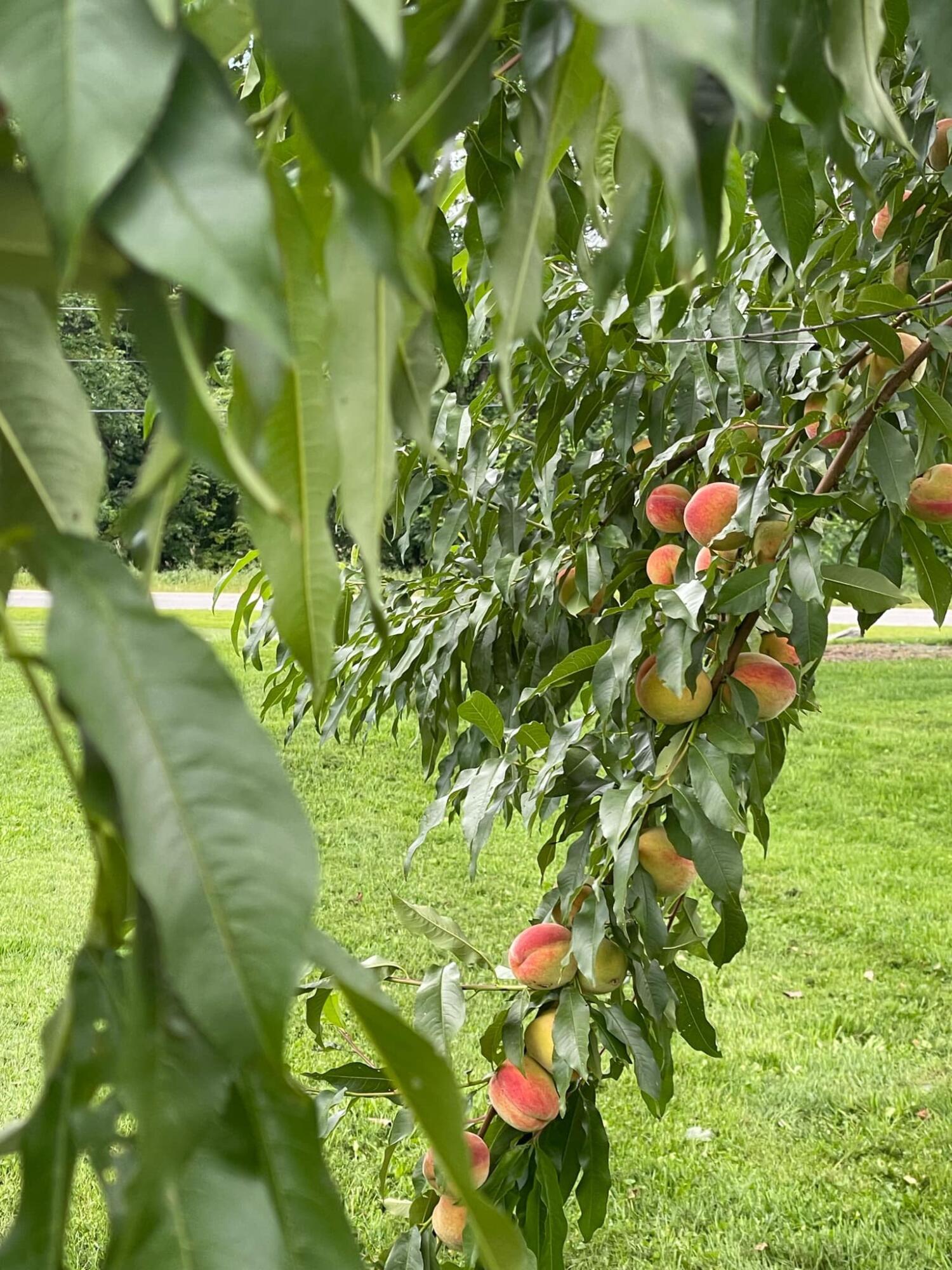 356 Range Road, Atkinson, ME, 04426