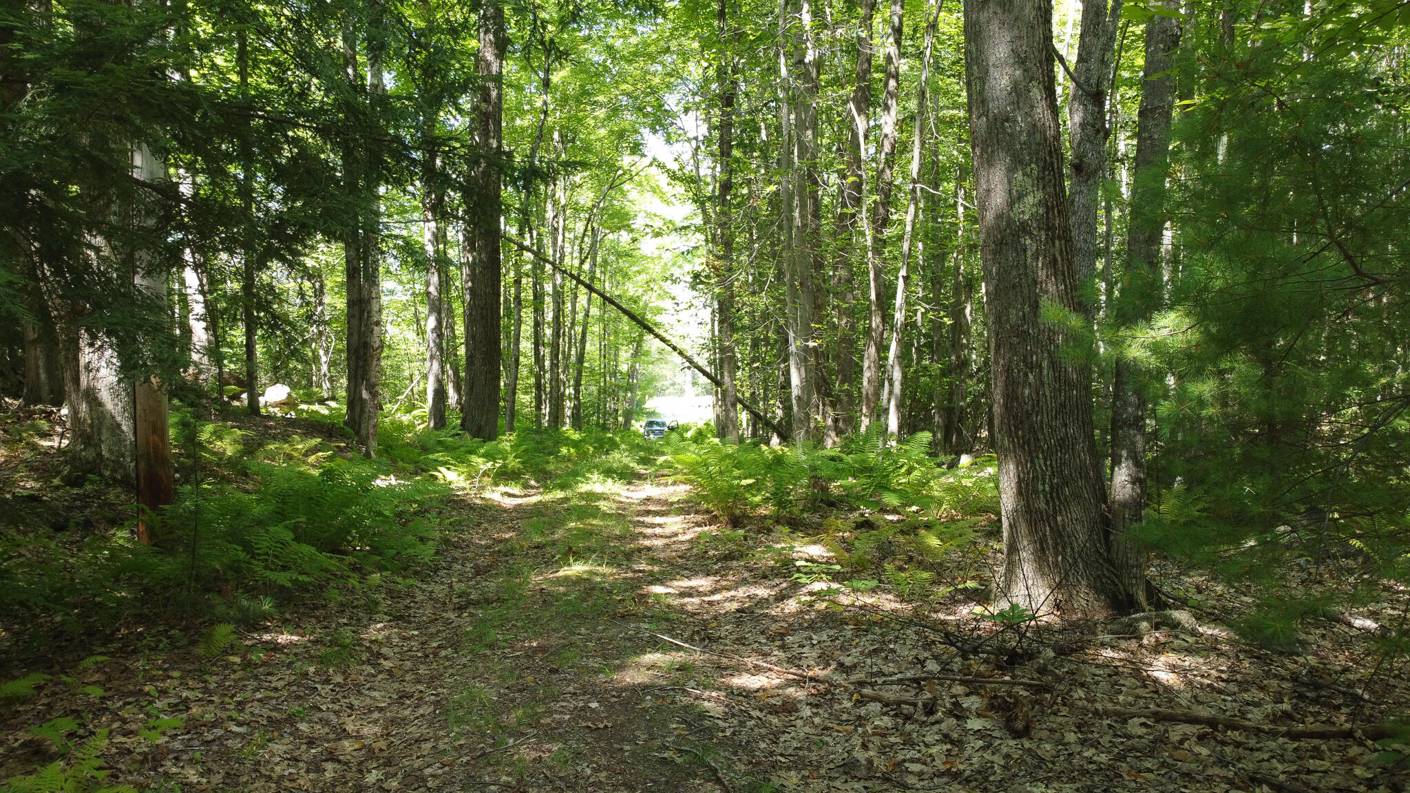 Photo of L52B & 52C Off Gammon Road Limington ME 04049