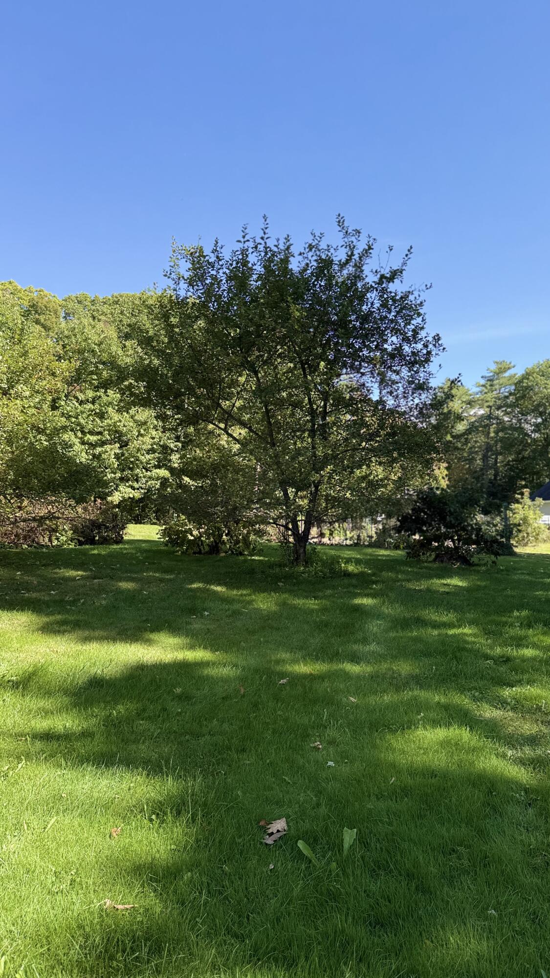 249 School Road, Charleston, ME, 04422