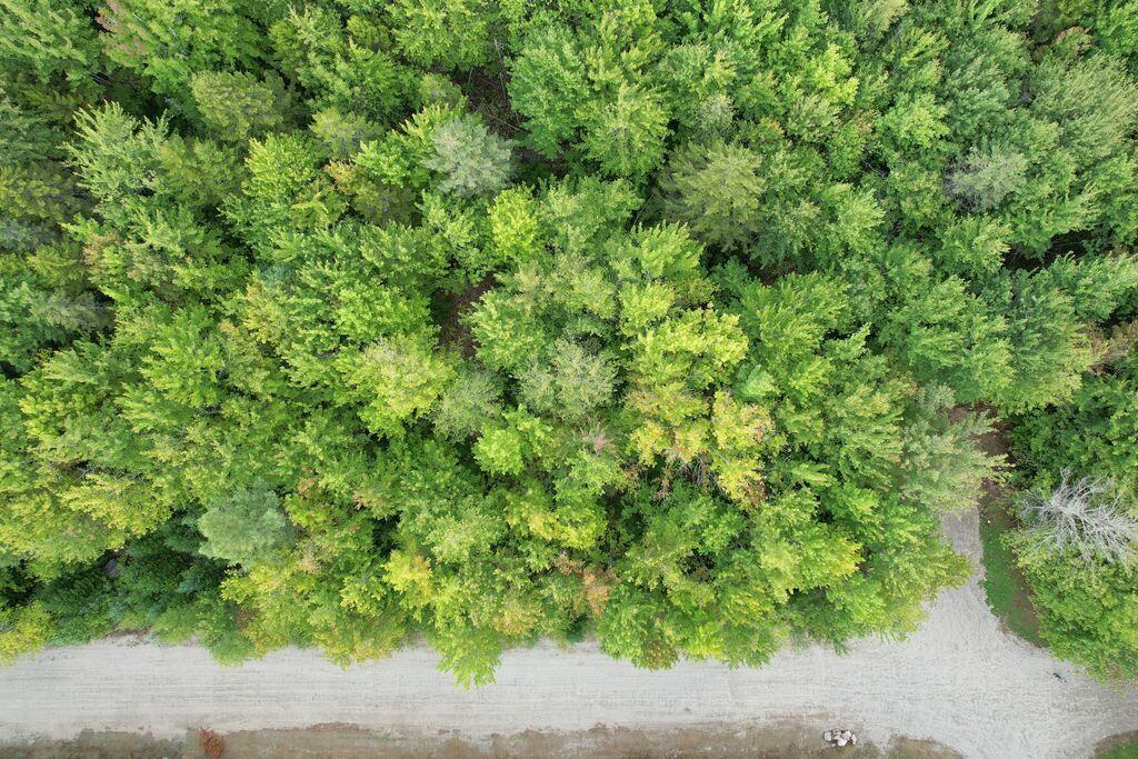 Lot 5 Foggy Ridge Way, Ellsworth, ME, 04605