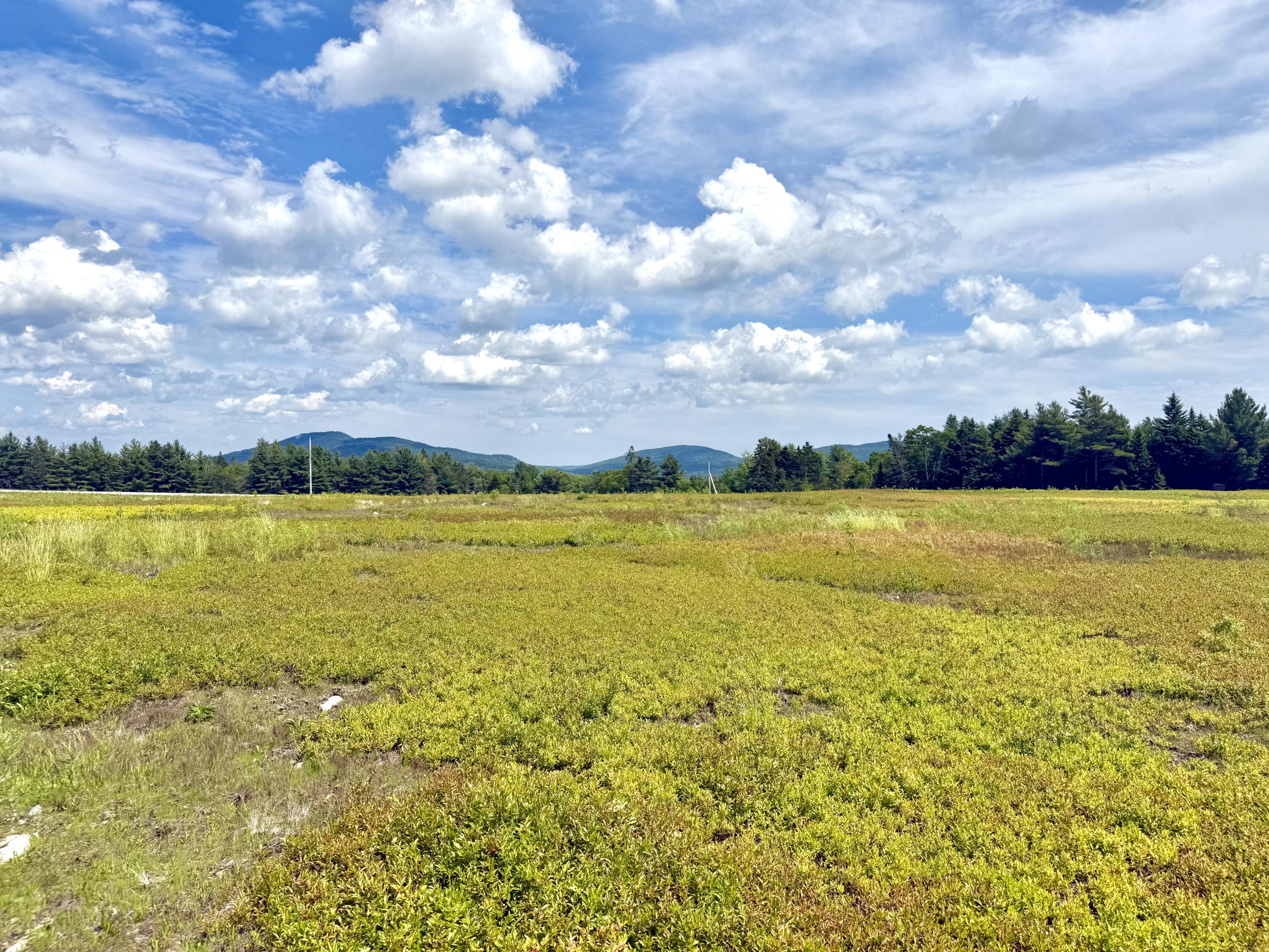 MAP13LOT11 Martins Ridge Road, Franklin, ME, 04634