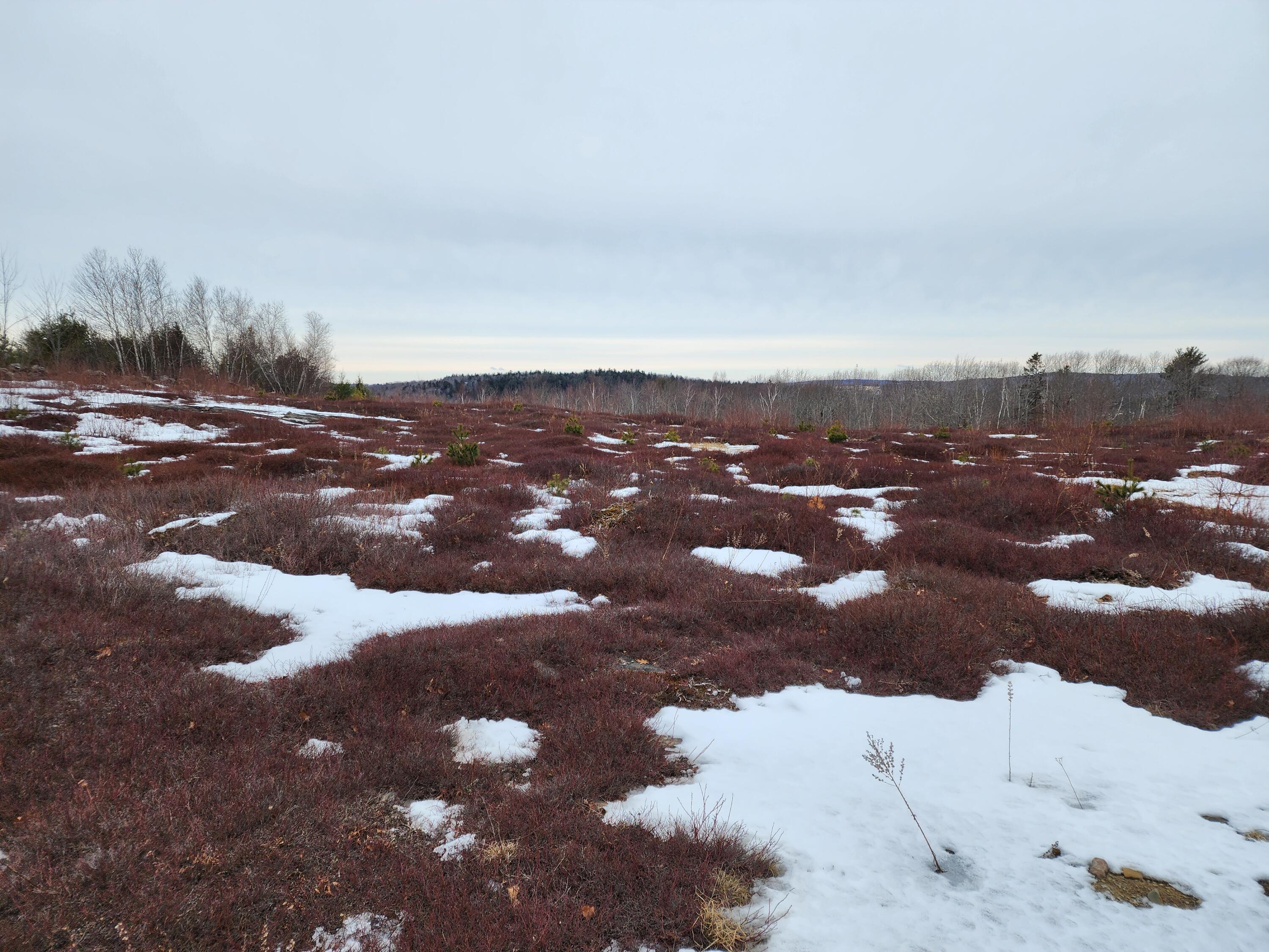 3 Whispering Berries Hill, Liberty, ME, 04949