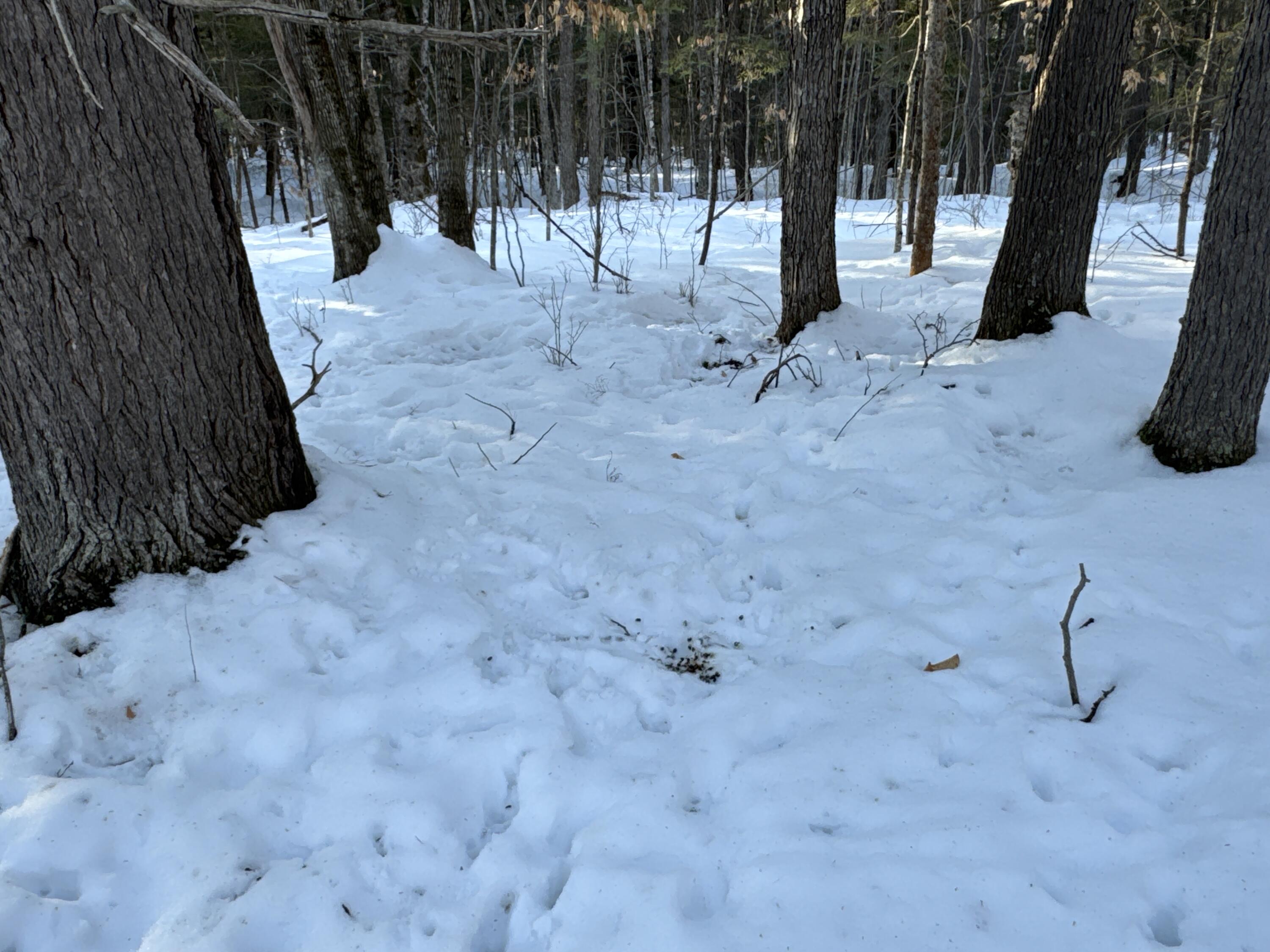 M10L44 Mountain View Road, Fryeburg, ME, 04037