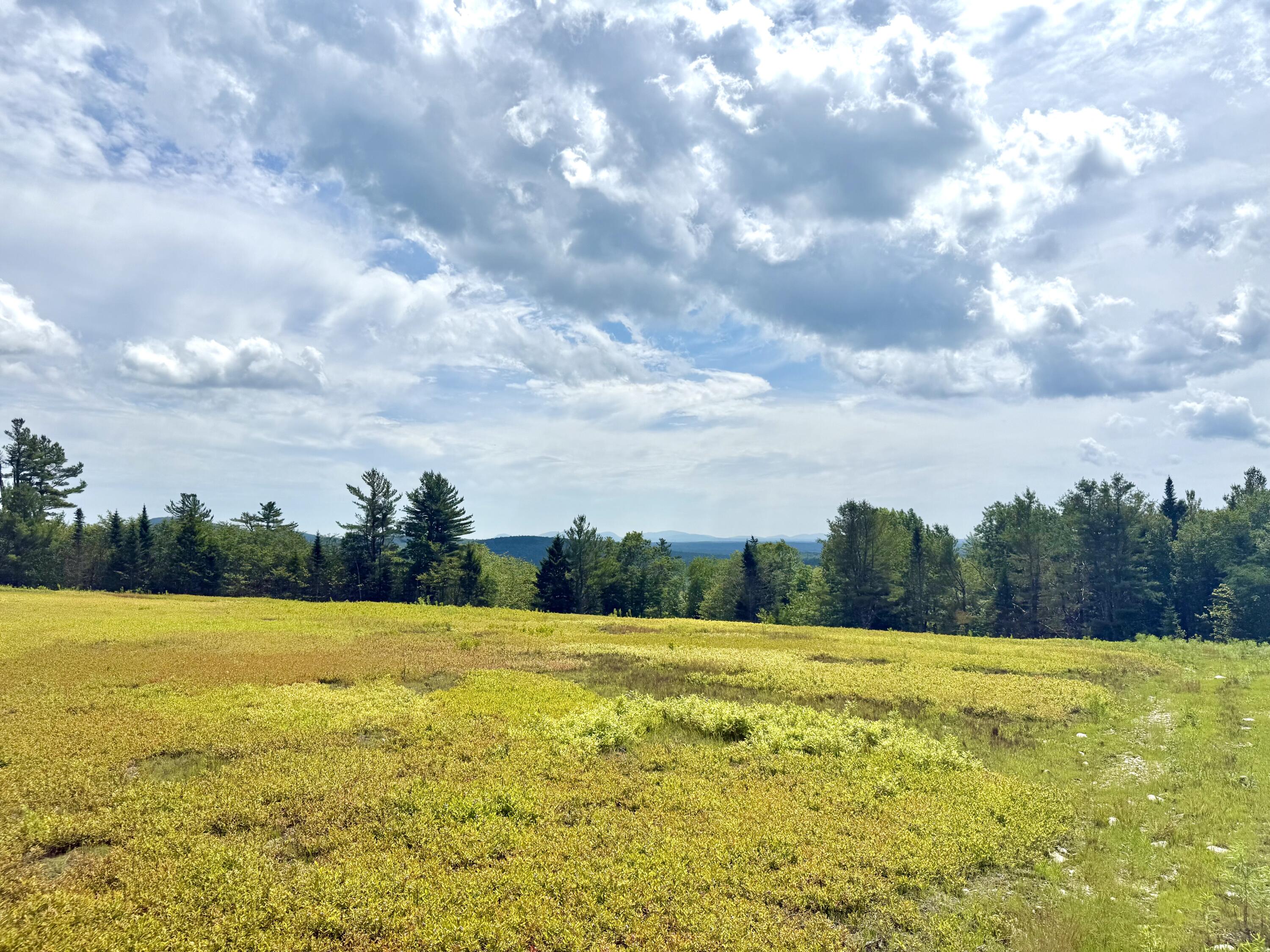 MAP13LOT11 Martins Ridge Road, Franklin, ME, 04634