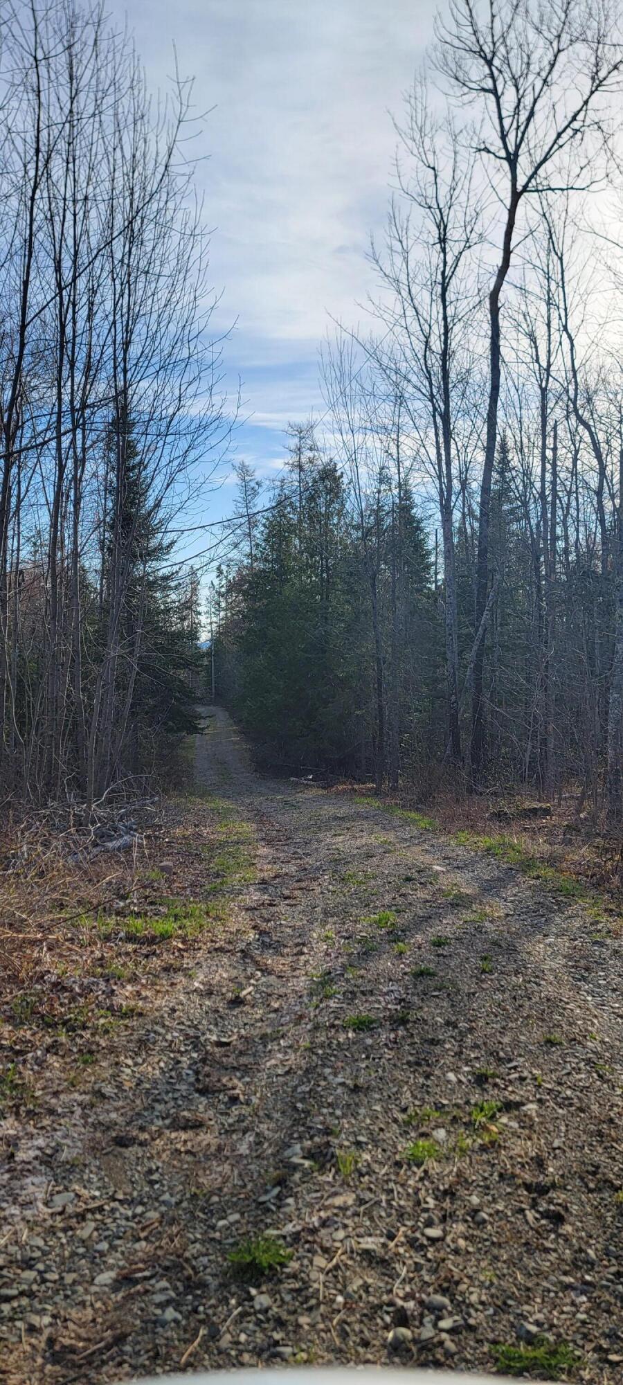 69 Hodgins Lane, Calais, ME, 04619