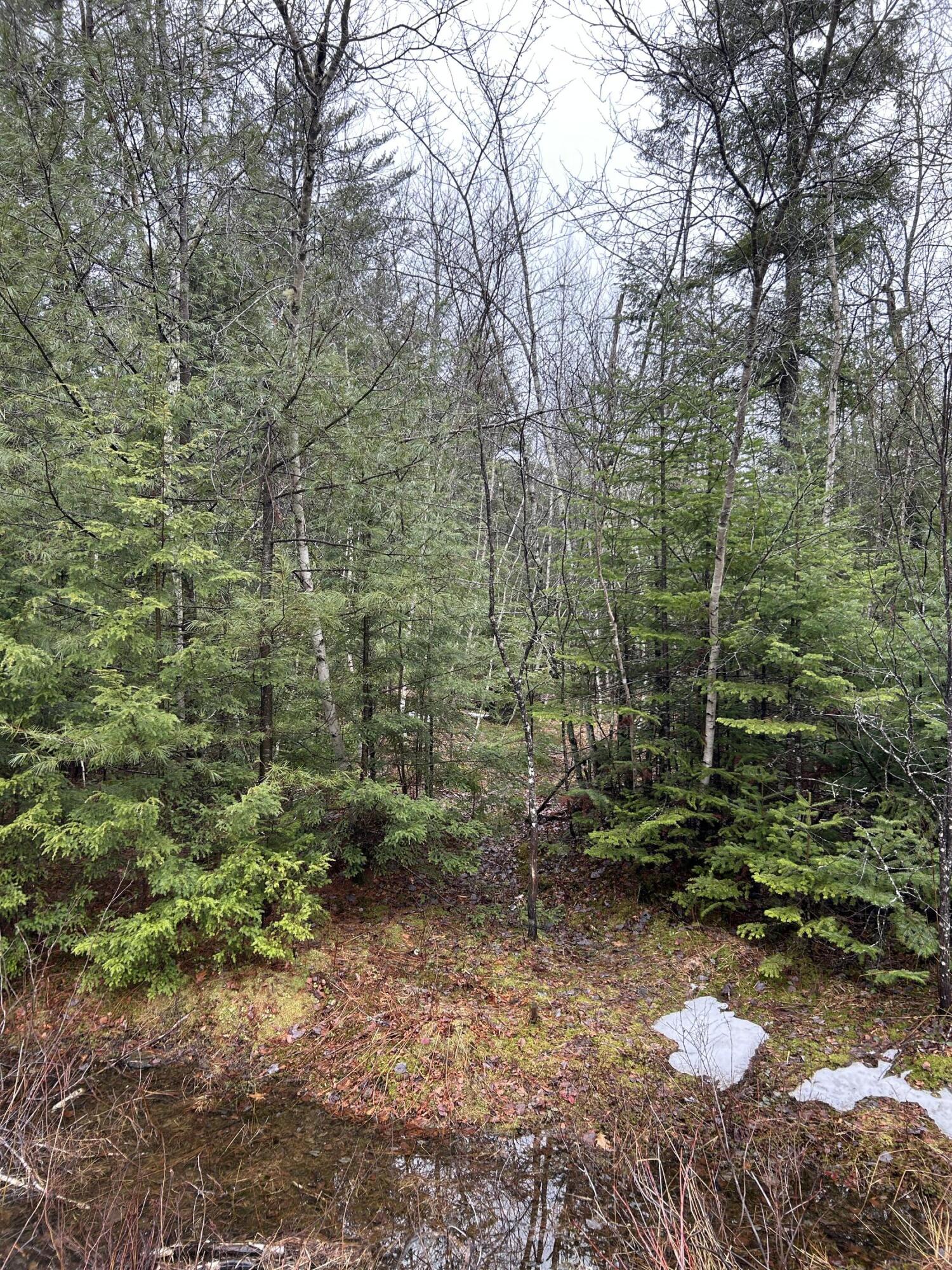 0 Burr Lane, Bowdoin, ME, 04287