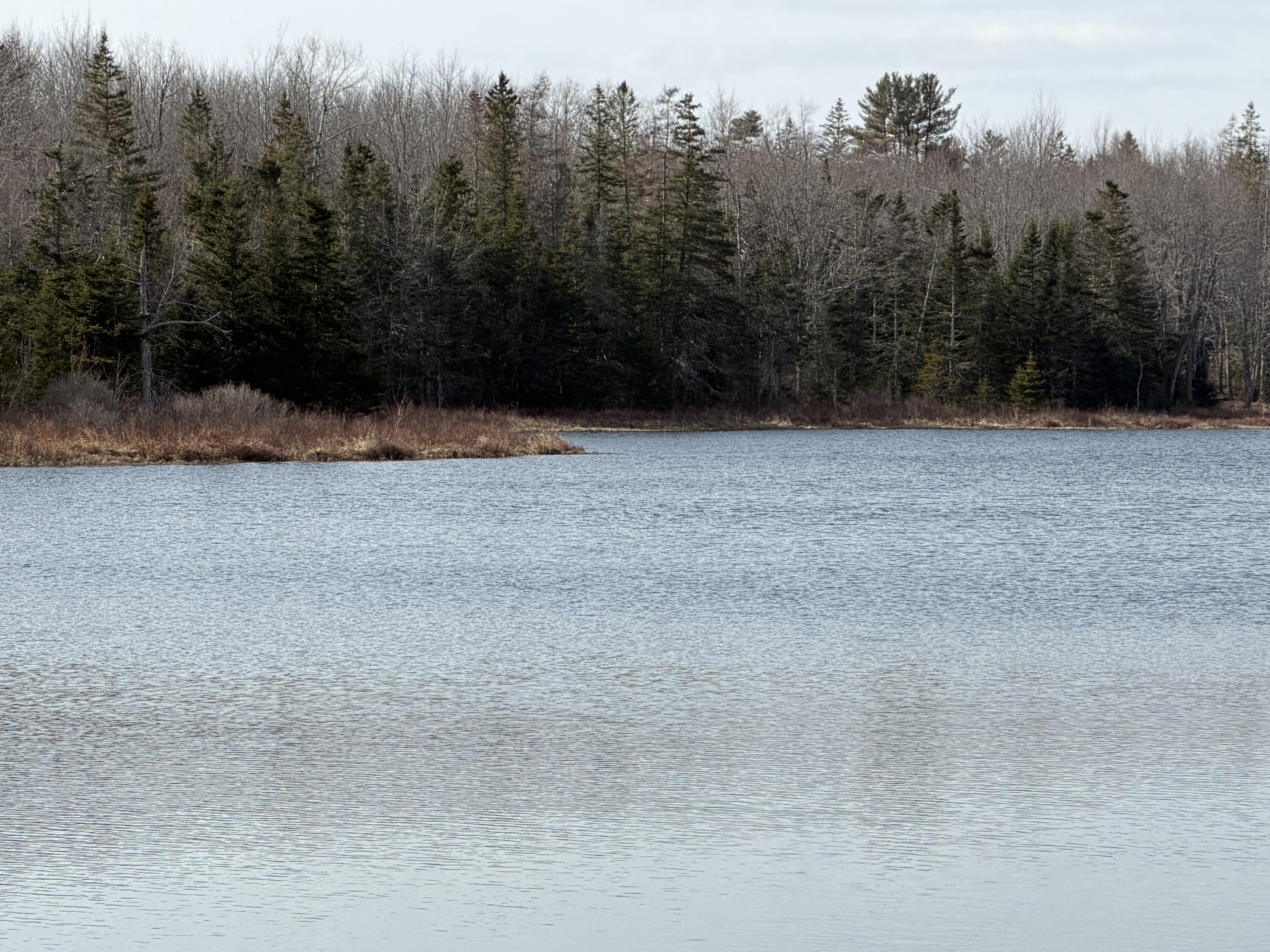 0 Misty Lane0 Lane, Brownfield, ME, 04010
