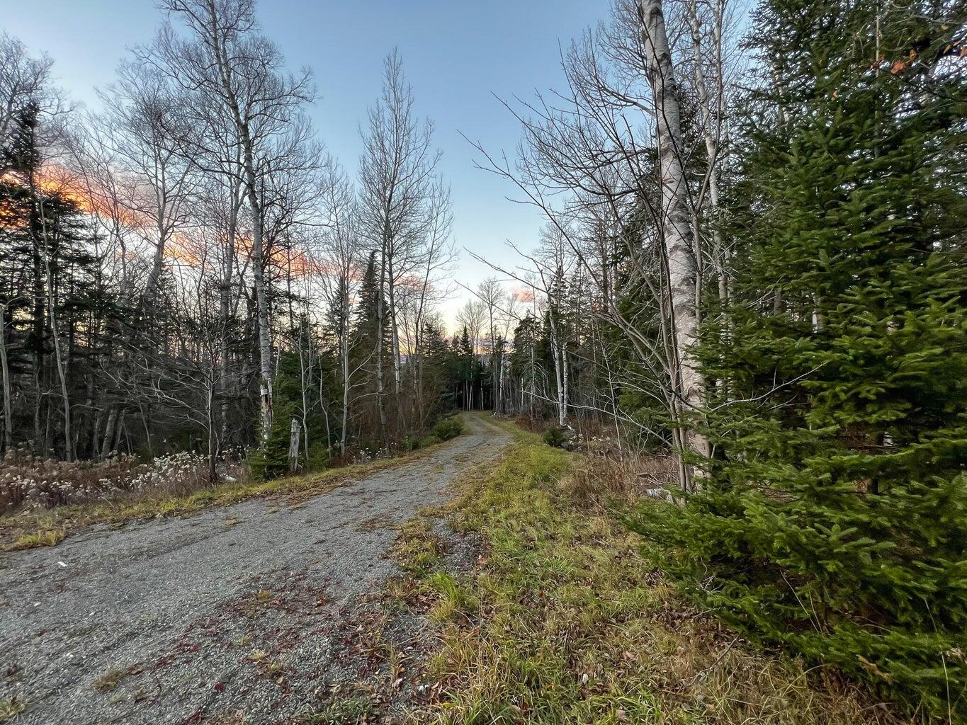 Lot 16 Mill Brook Road, Sandy River Plt, ME, 04970