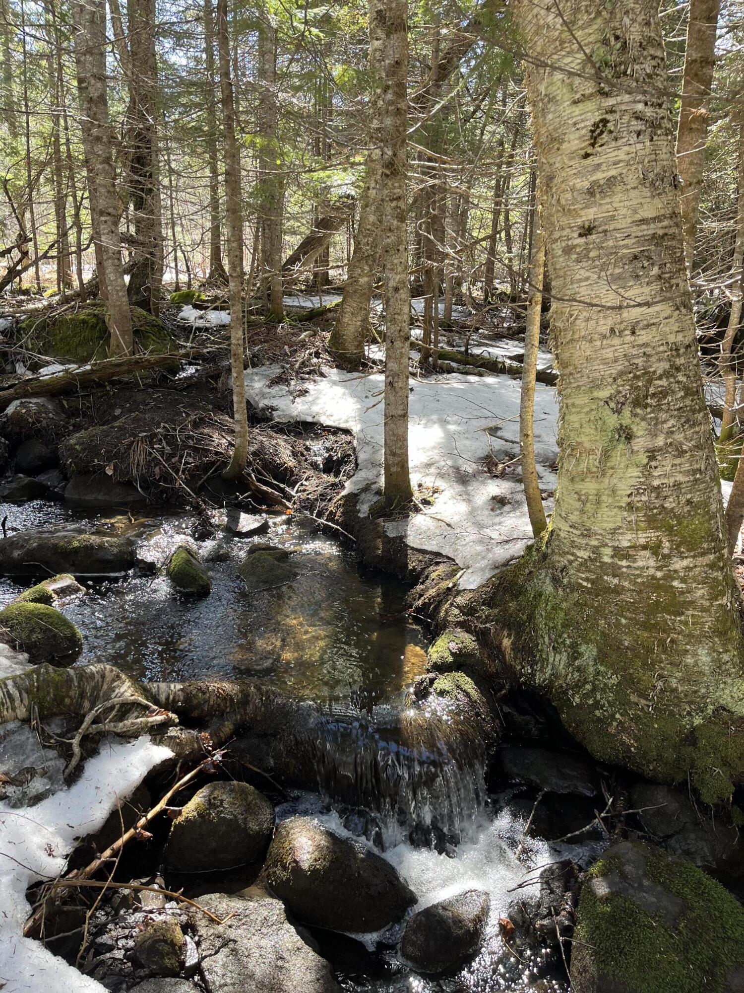 620 Dallas Hill Road, Dallas Plt, ME, 04970