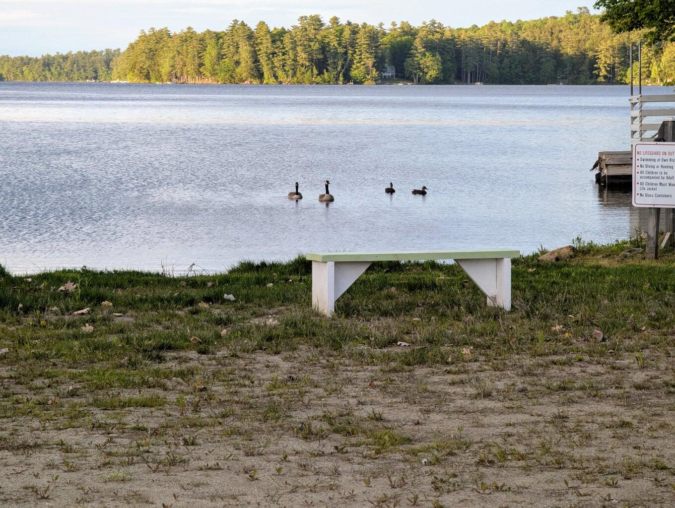 19 & 28 Lintonia Drive UNIT 10-13, Litchfield, ME, 04350