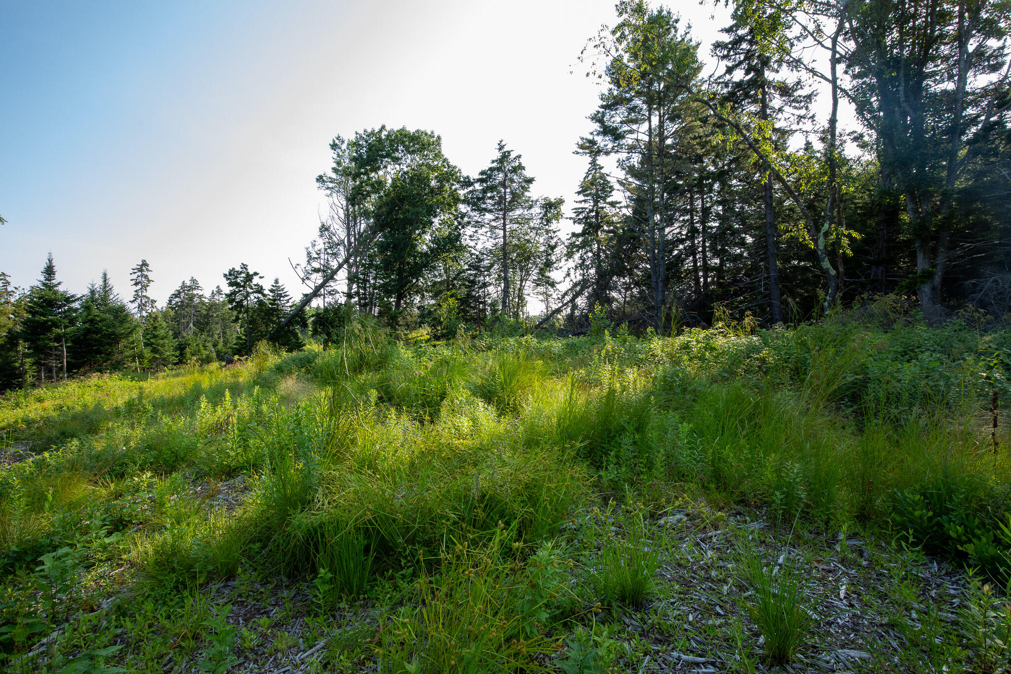 0 Bayview Road UNIT 2, Harpswell, ME, 04066