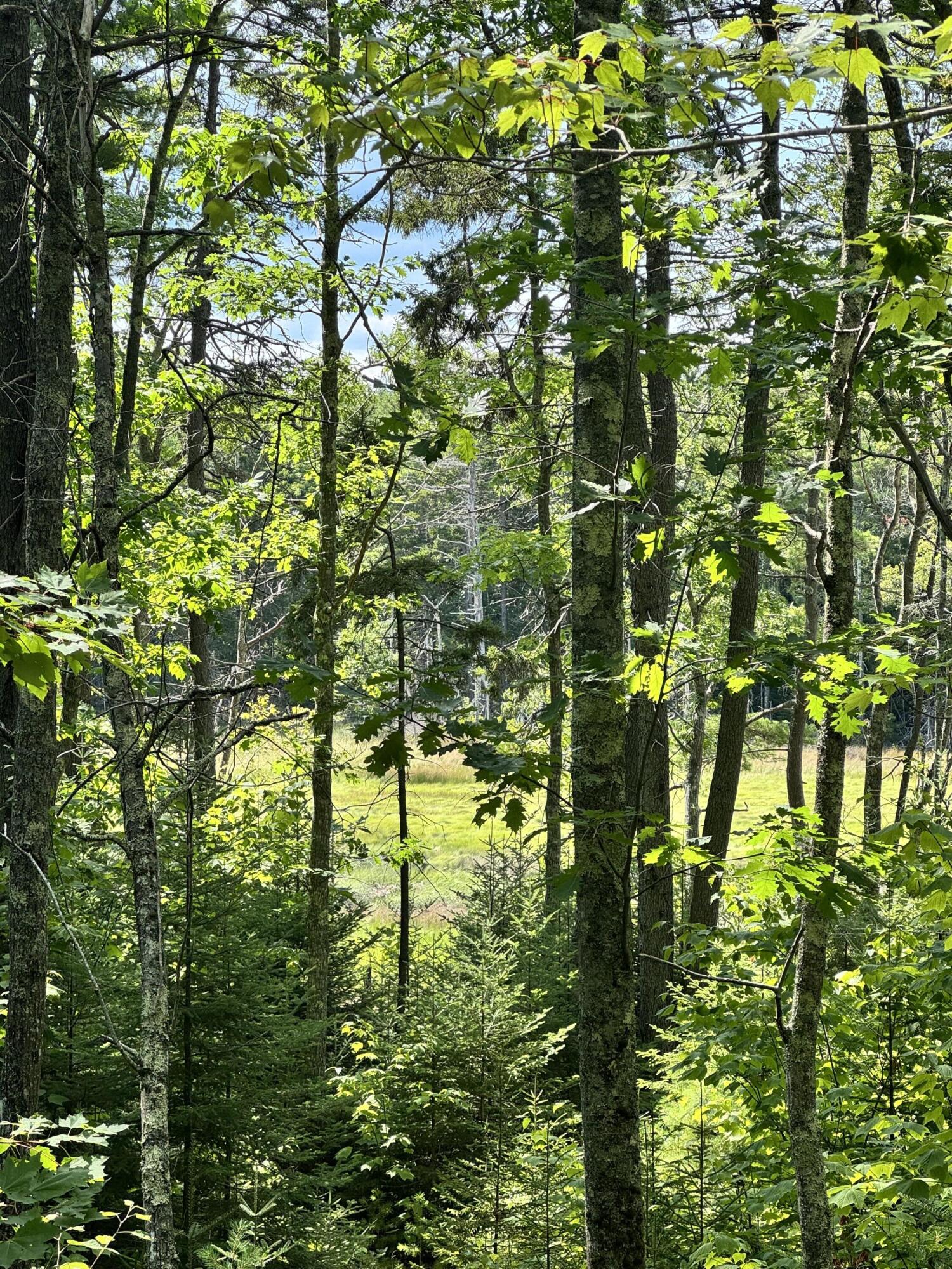 Photo of 0 Henry Creek Way Harpswell ME 04079