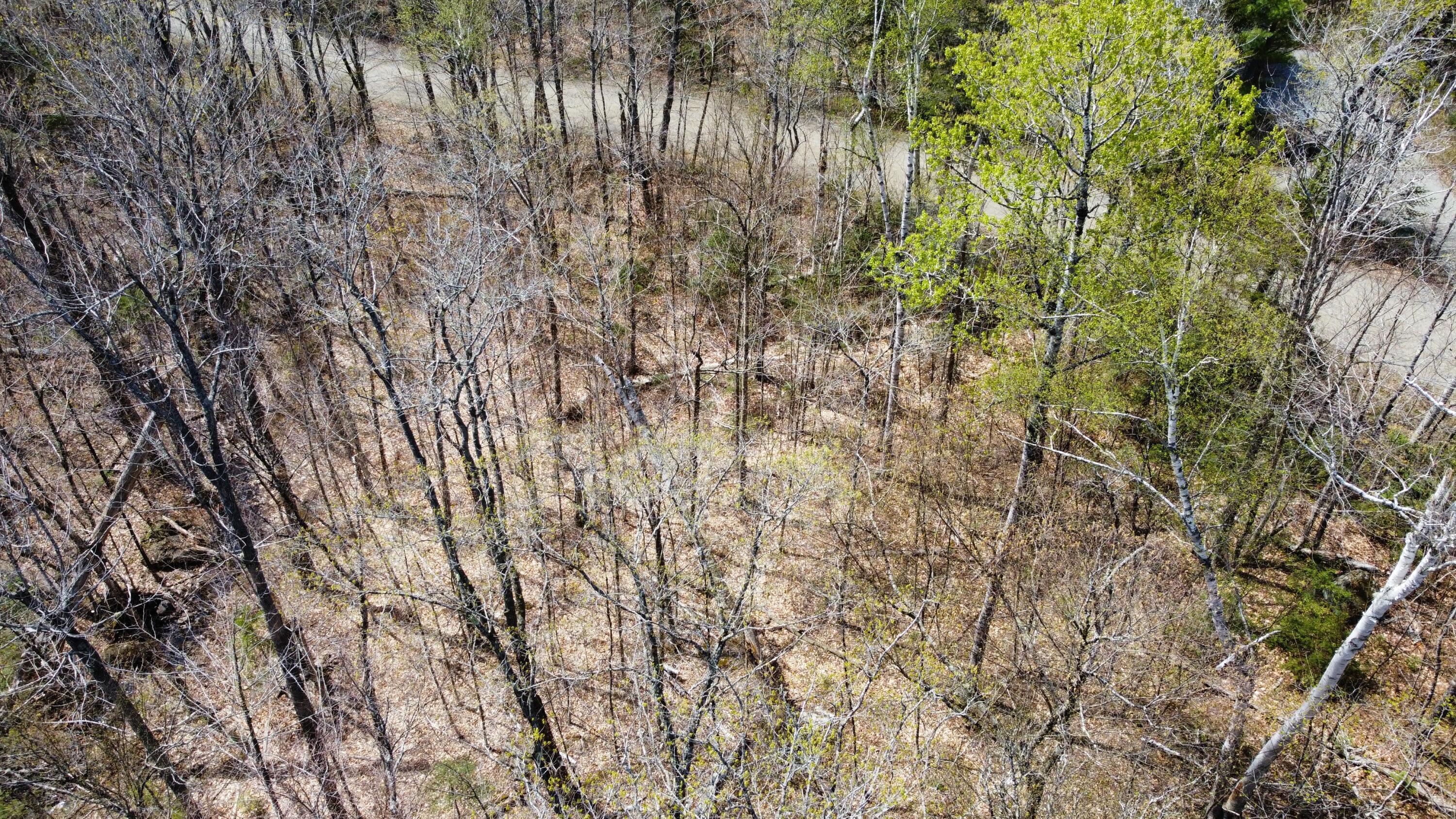 2029 Fox Hollow Road, Carrabassett Valley, ME, 04947