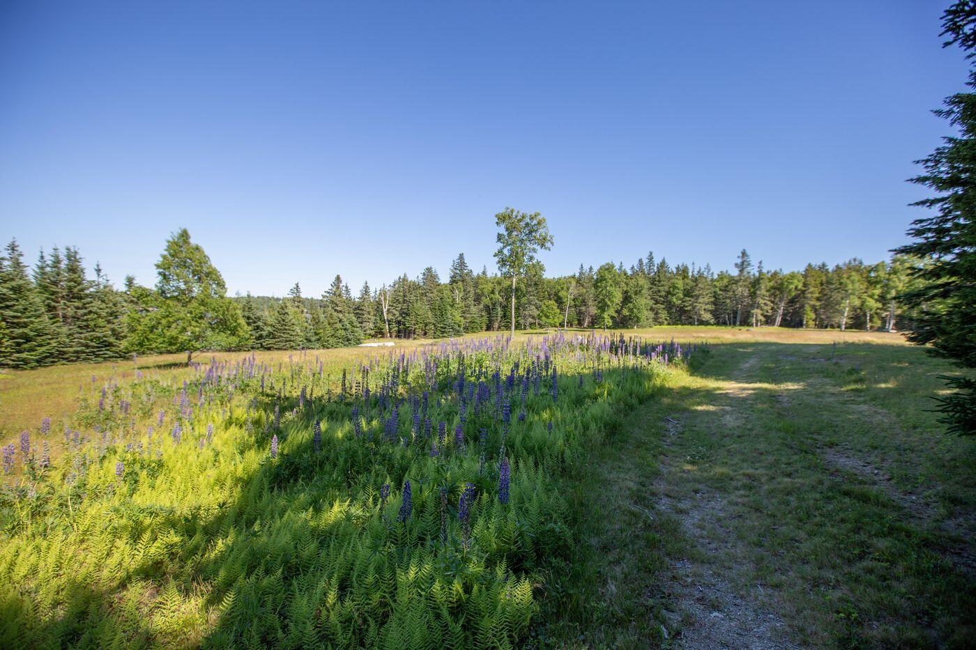 Lot 001 Sheephead Island, Deer Isle, ME, 04627