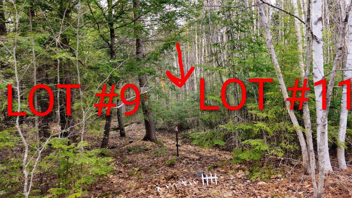 0 Woodland Drive UNIT 11, Carmel, ME, 04419