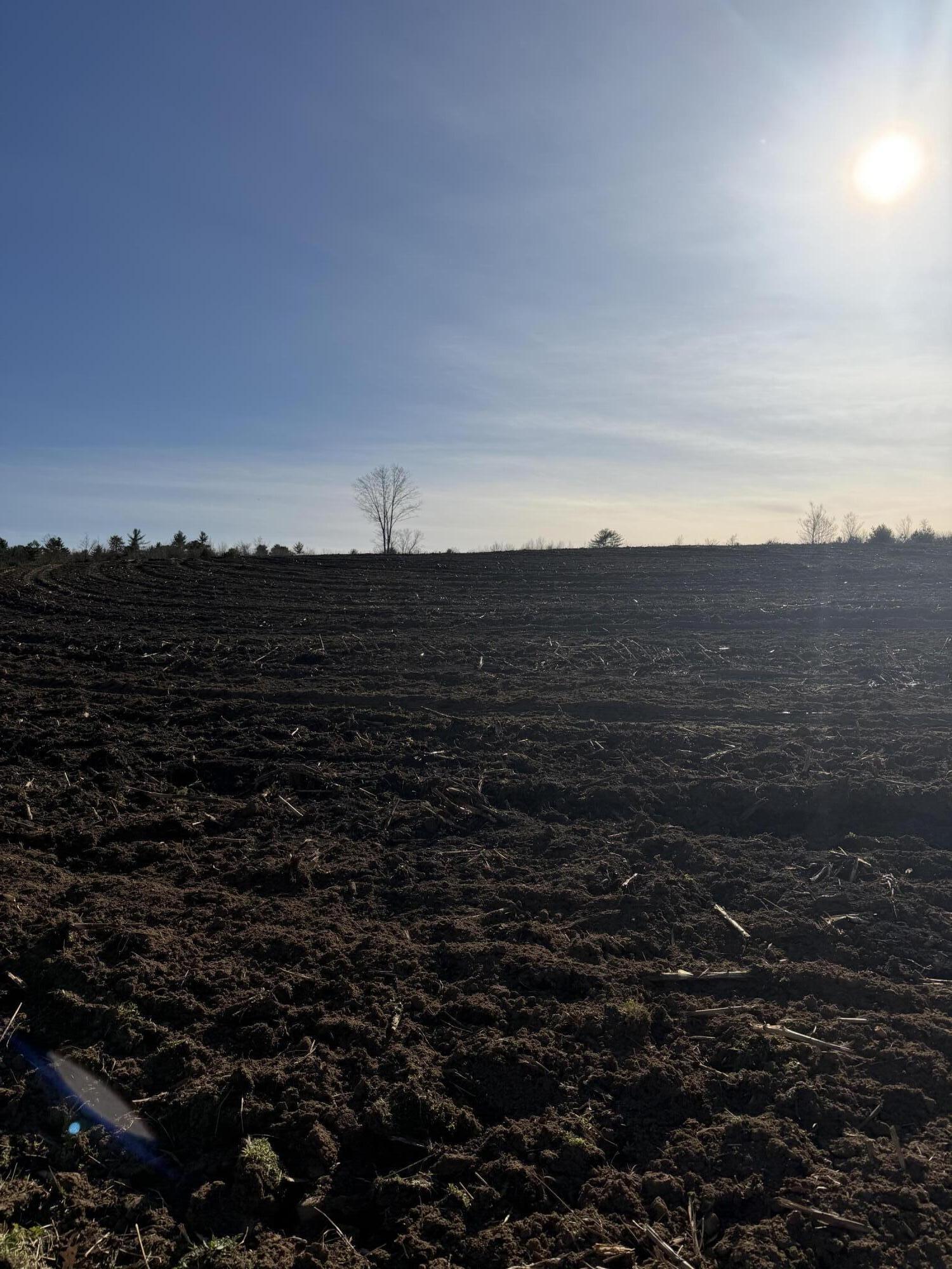 Lot 2 Torrey Road, Poland, ME, 04274