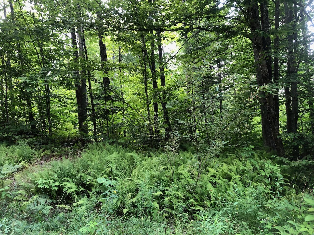 06 Swett Brook Lane, Weld, ME, 04285