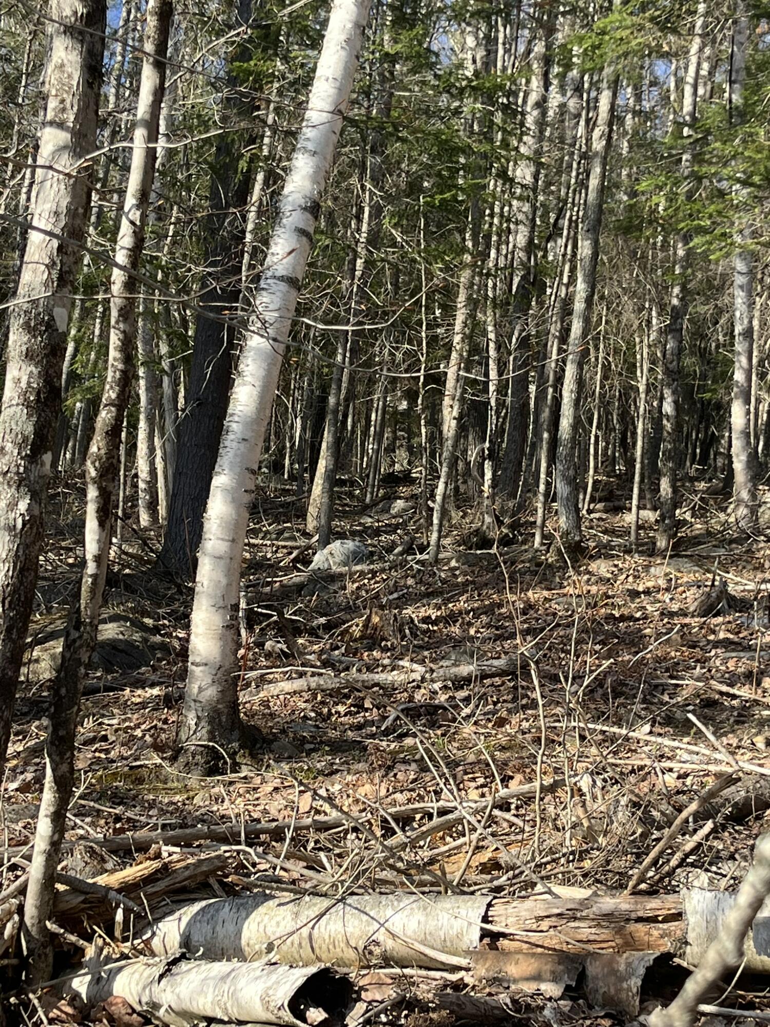 M10L24-2N US-201, West Forks Plt, ME, 04985