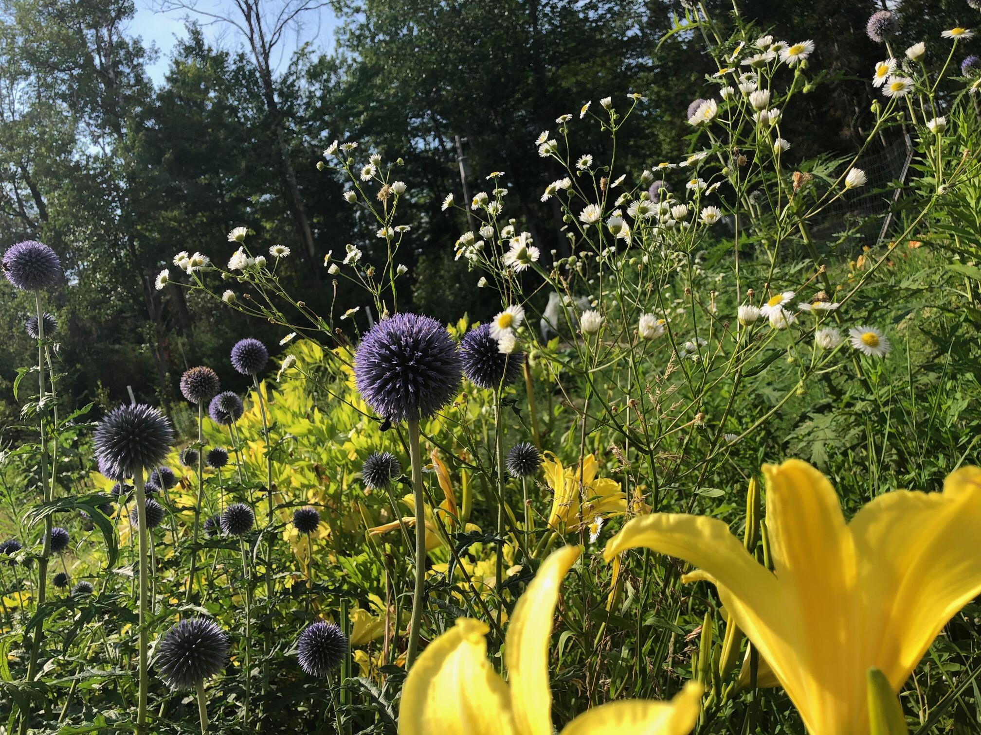 196 Woodmans Mill Road, Searsmont, ME, 04973