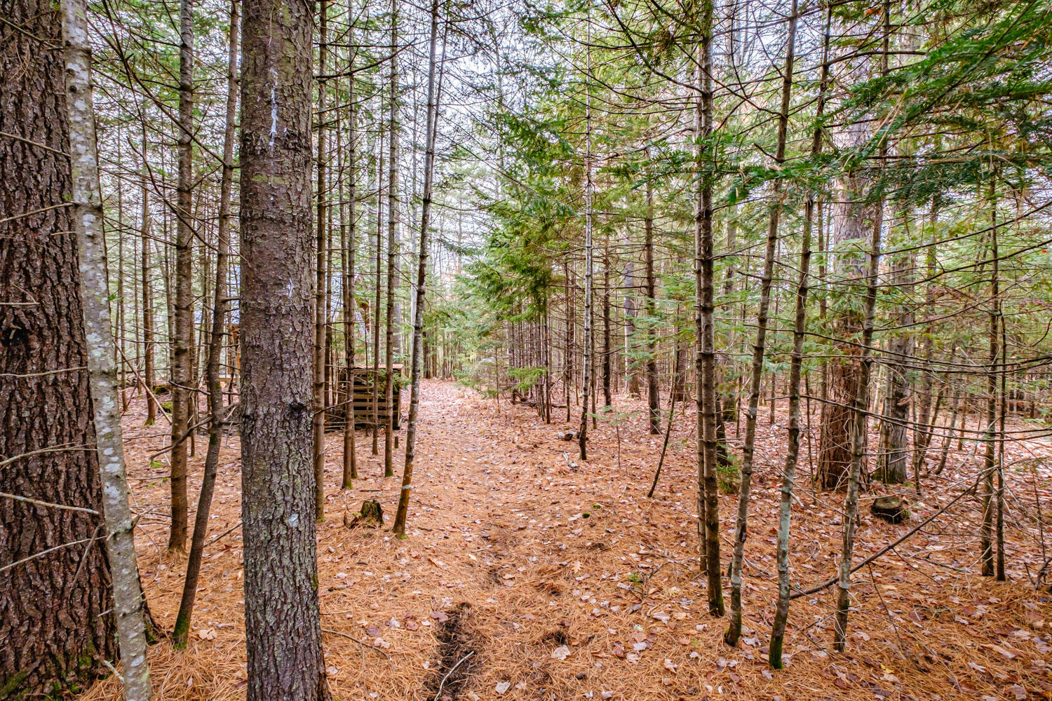 143 Westwood Road, Bethel, ME, 04217-3070