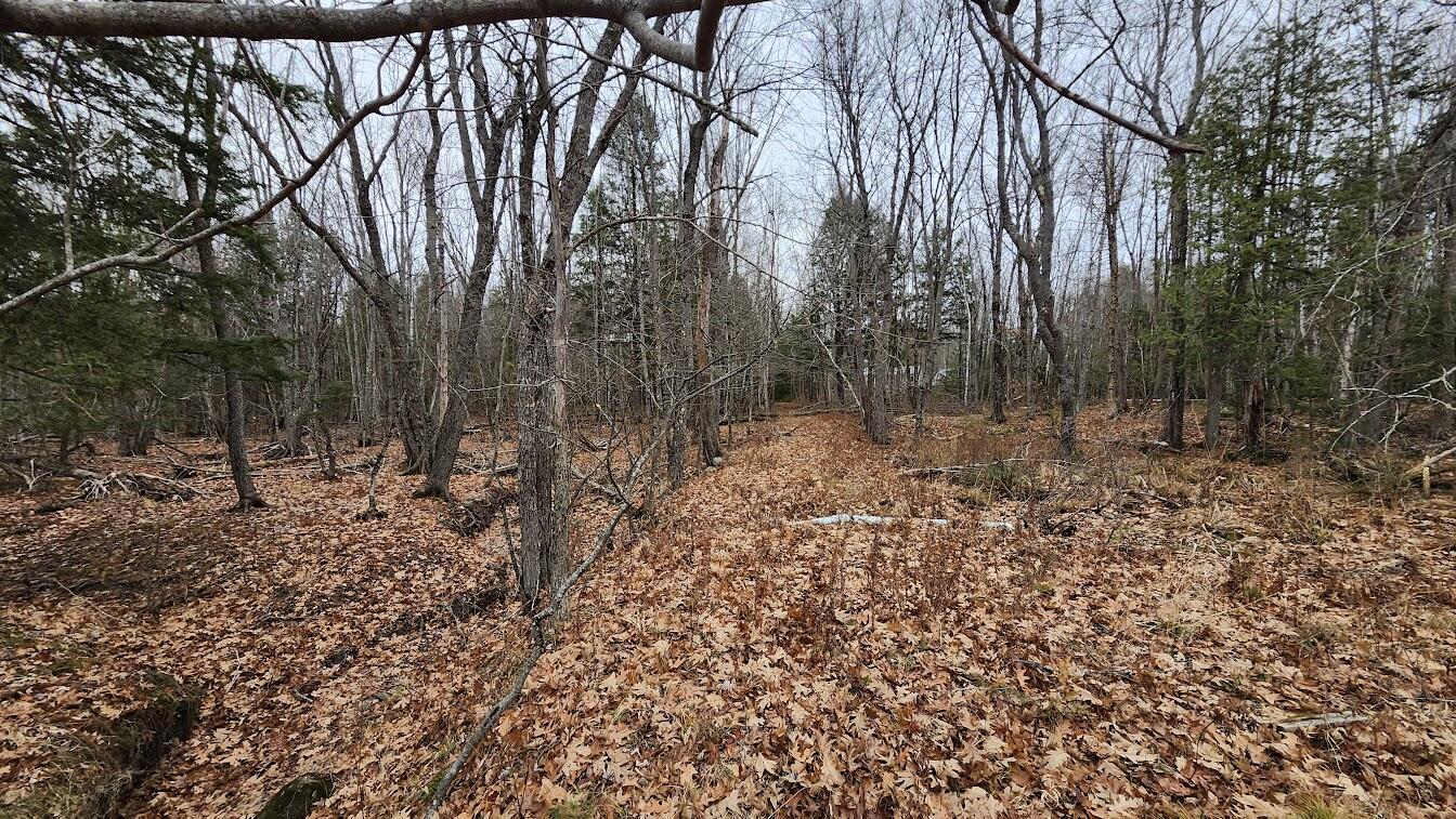 Lot 1C Medway Road Route 157 Road, Mattawamkeag, ME, 04459